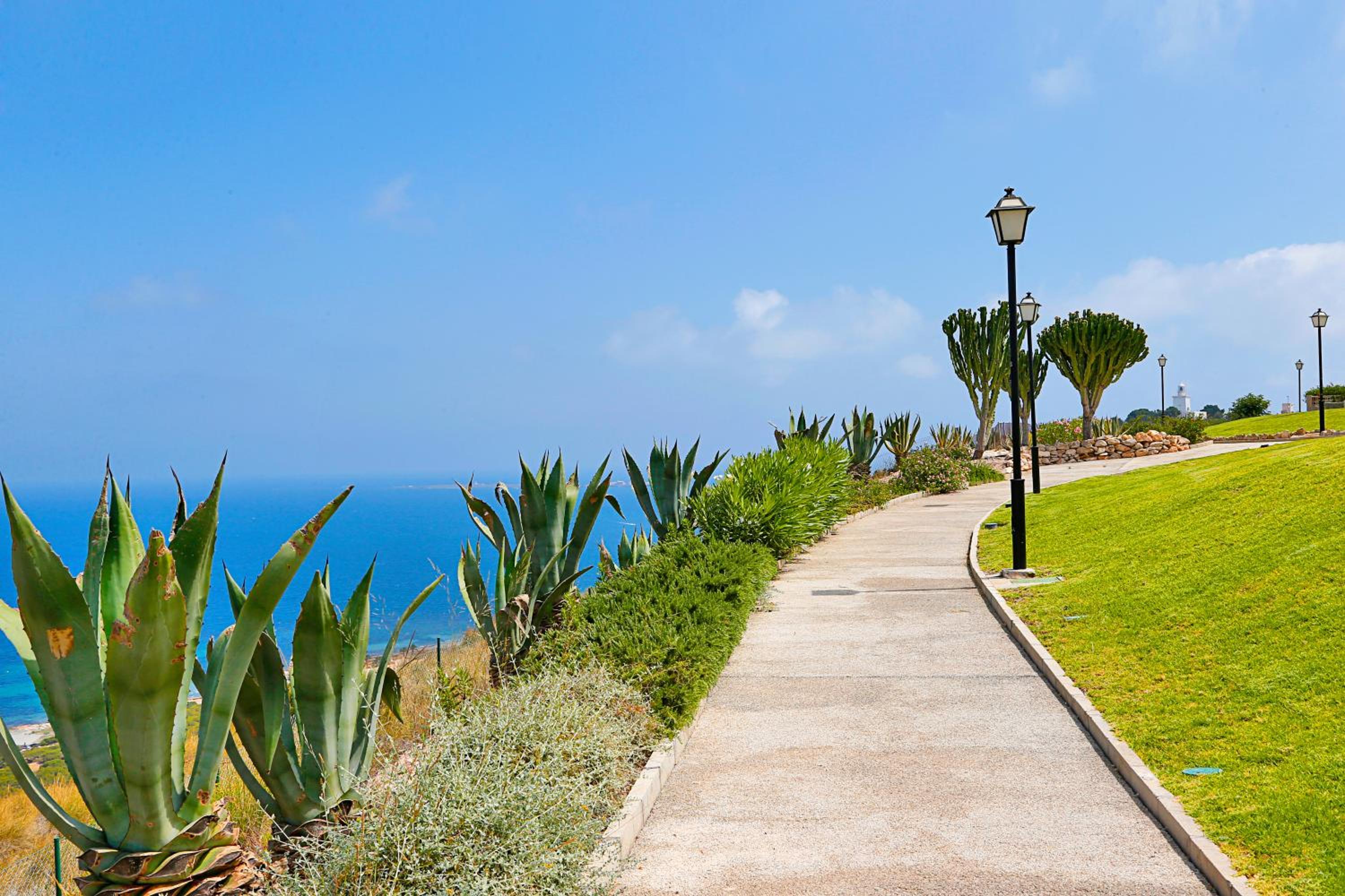 Lighthouse View II