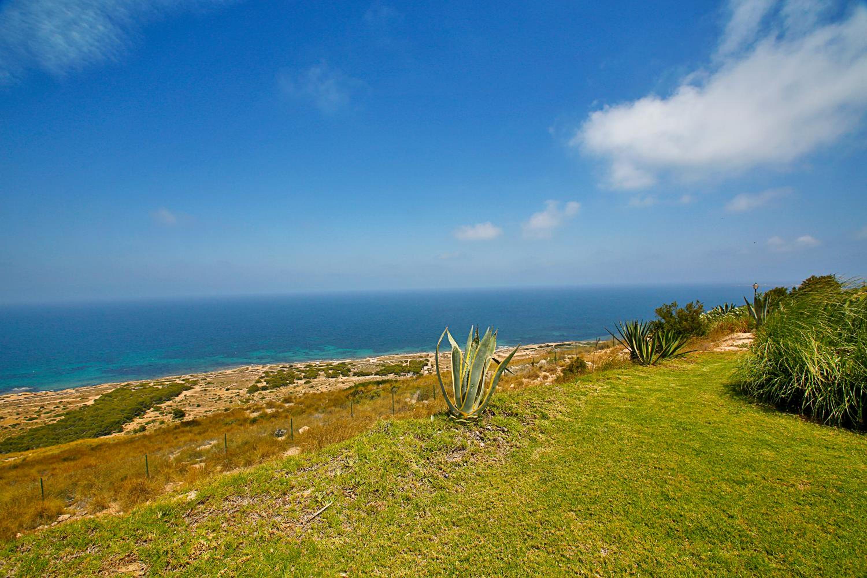 Lighthouse View II