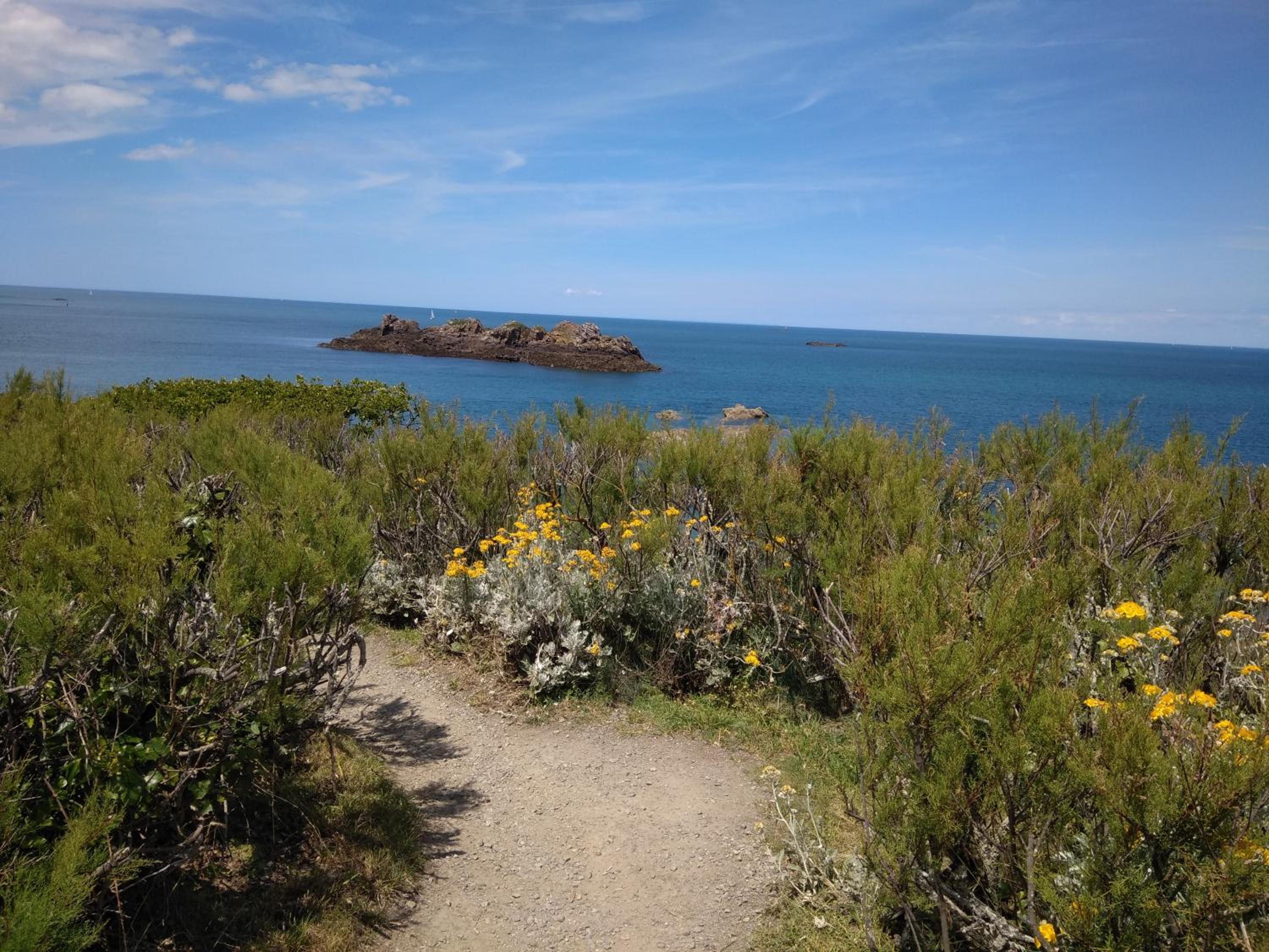 Photo 25