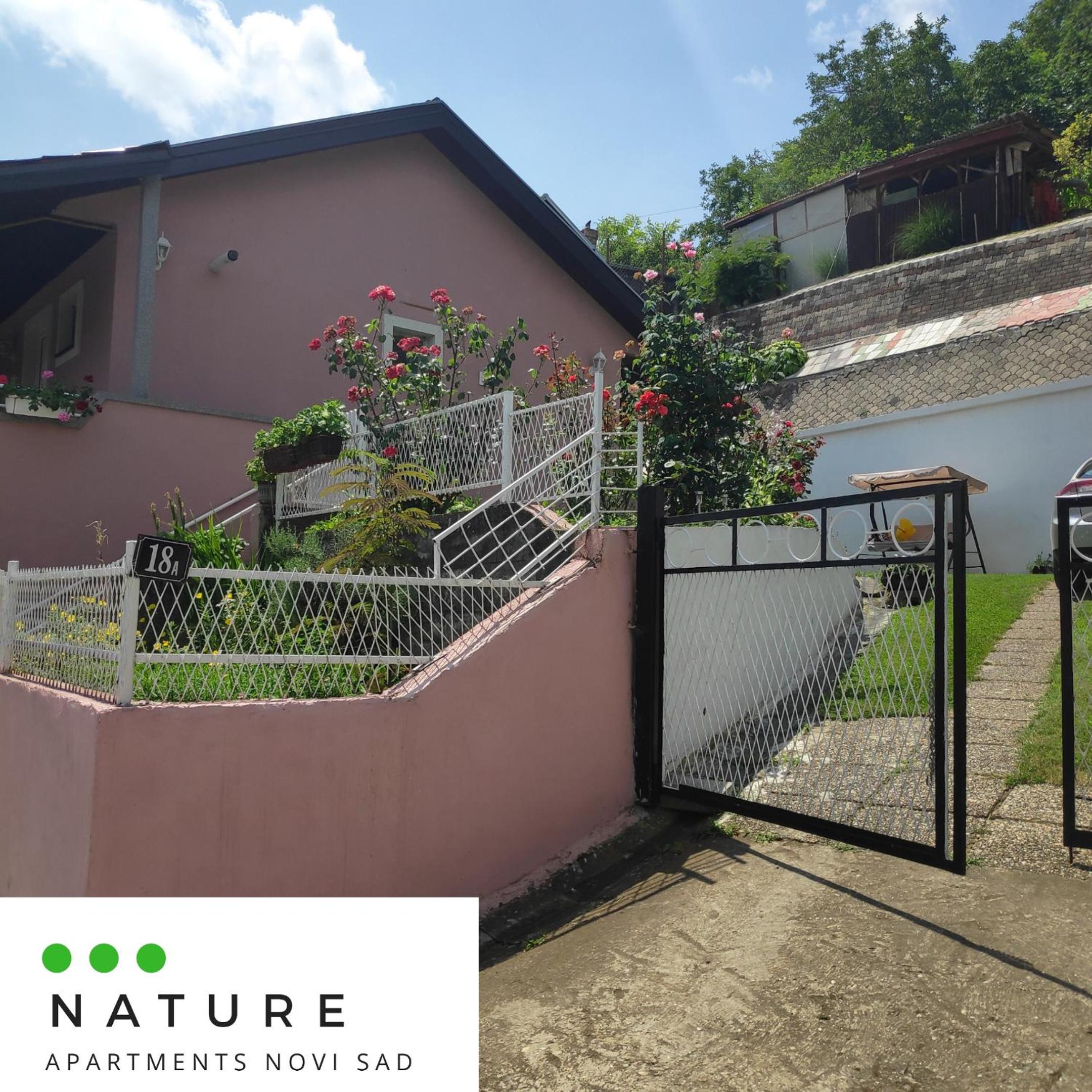 Just nature view 5