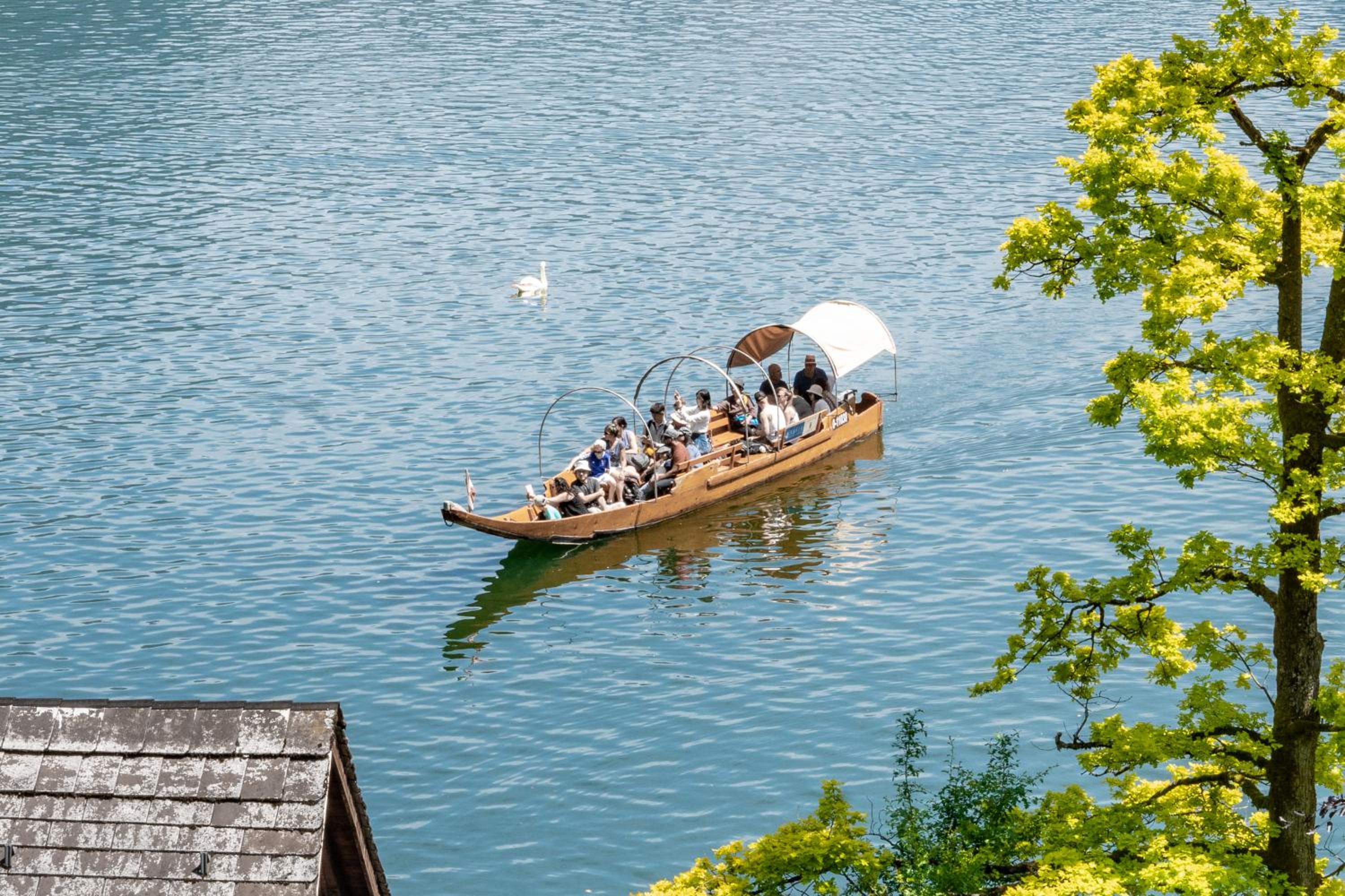 HALLSTATT LAKEVIEW Apartments