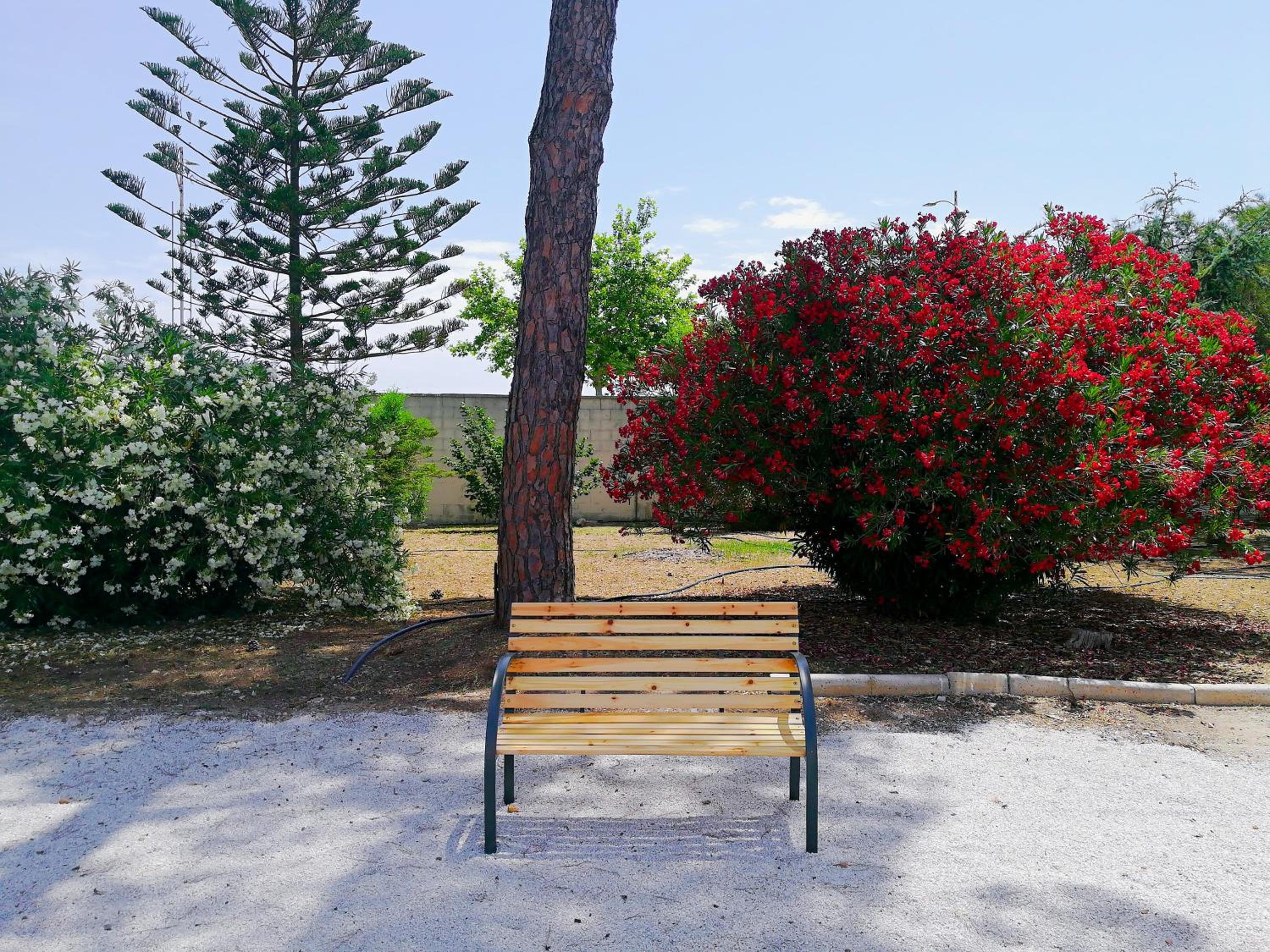 Photo 41