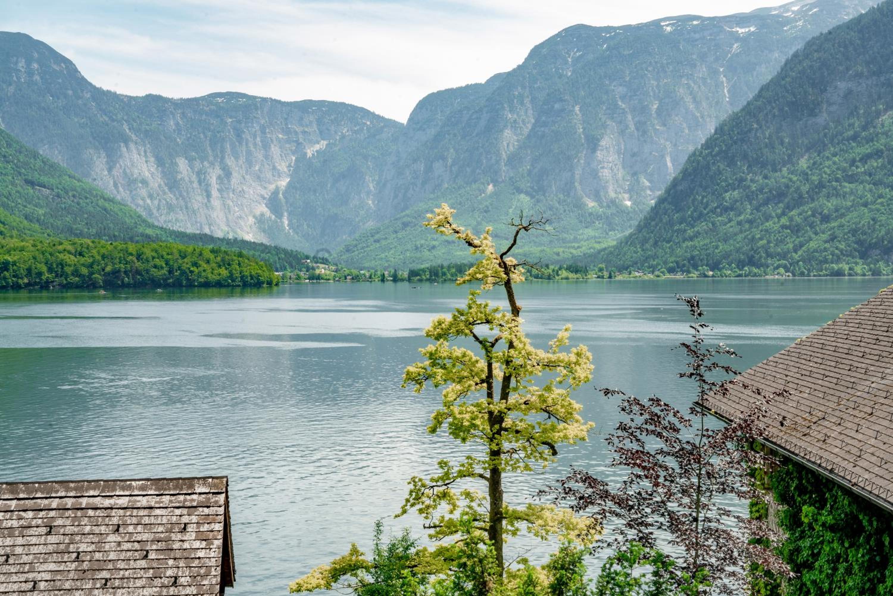 HALLSTATT LAKEVIEW Apartments