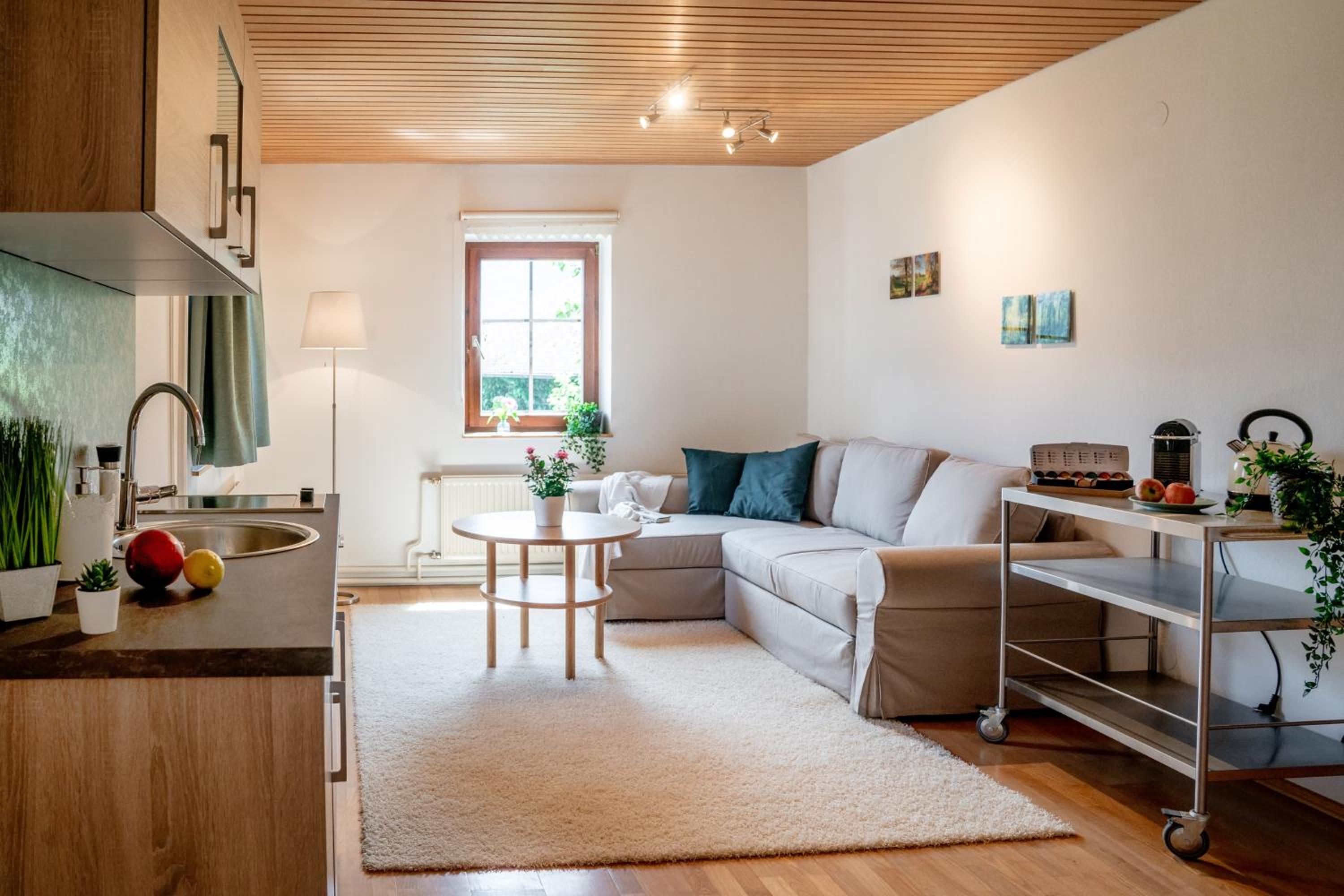 HALLSTATT LAKEVIEW Apartments