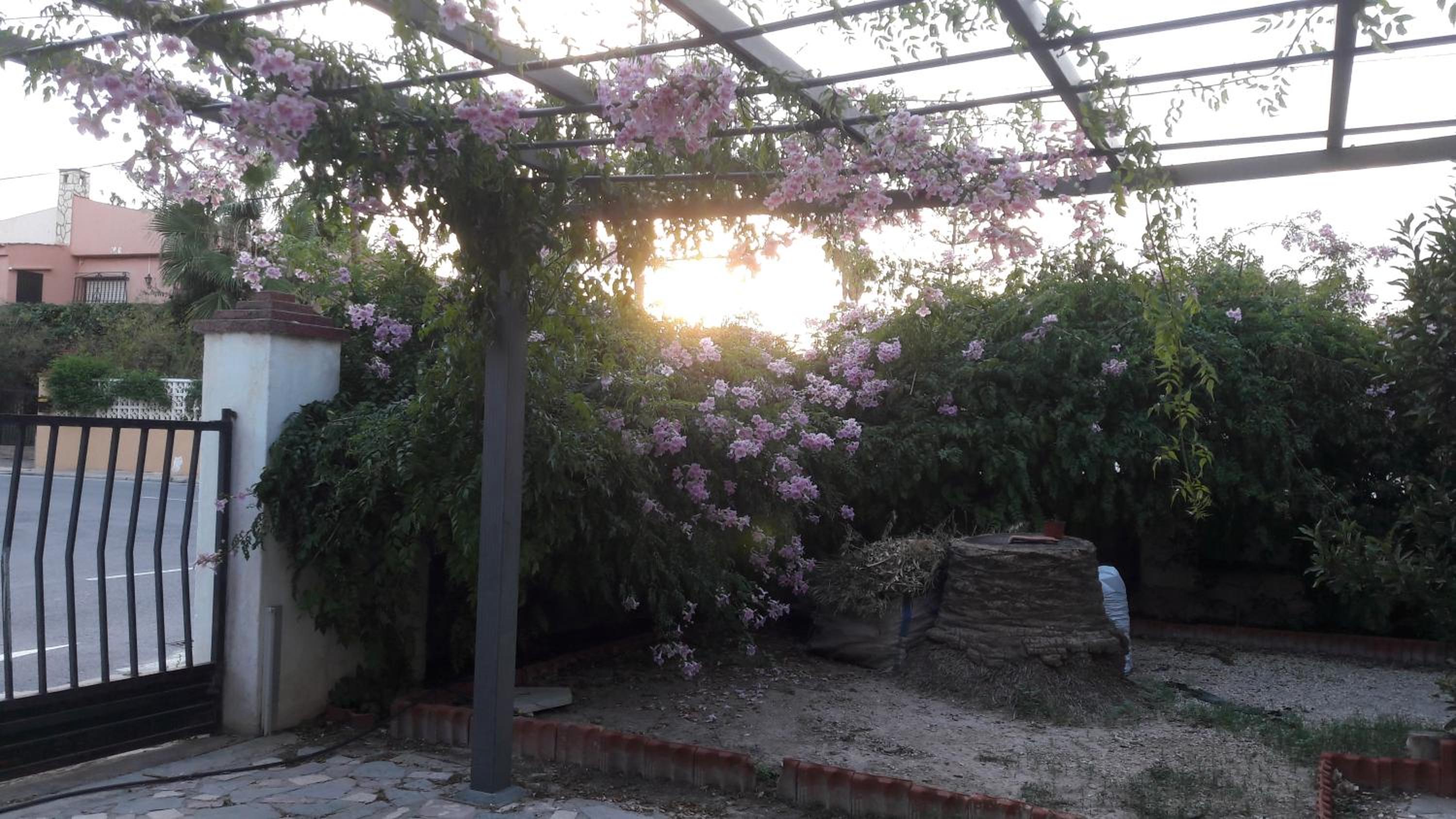 Chalet Maria con Jardín Mediterráneo