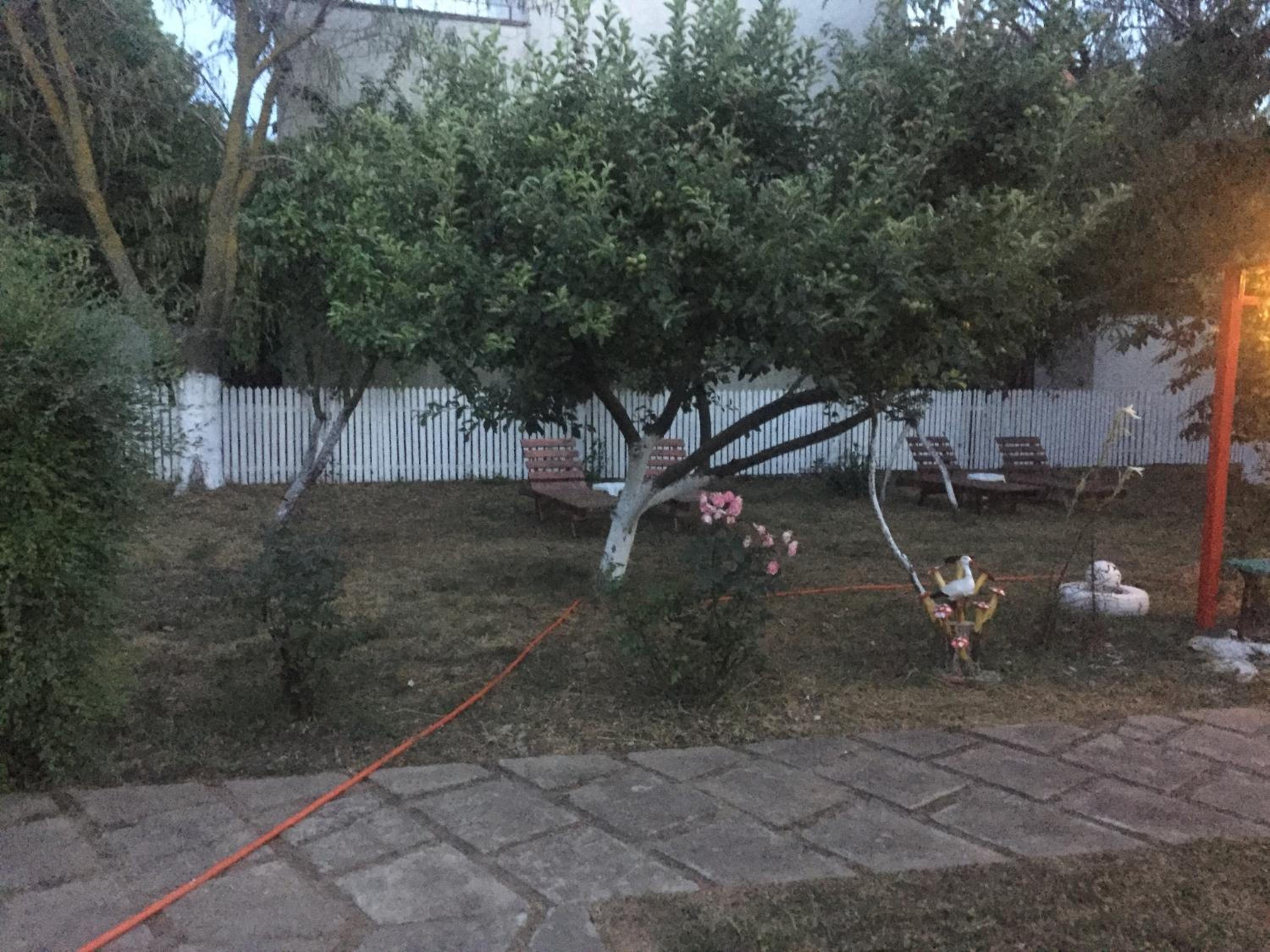 Photo 33