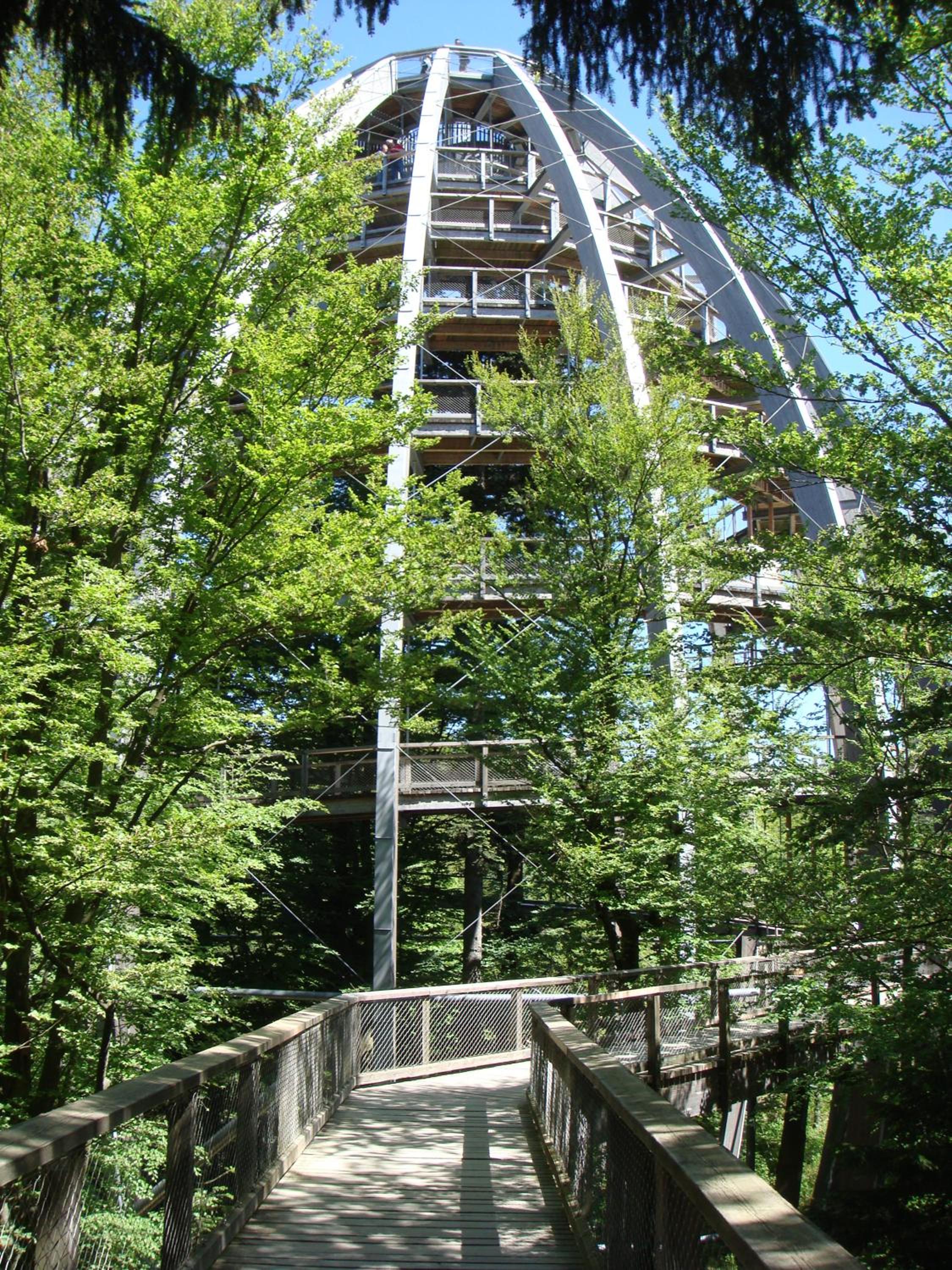 Photo 30