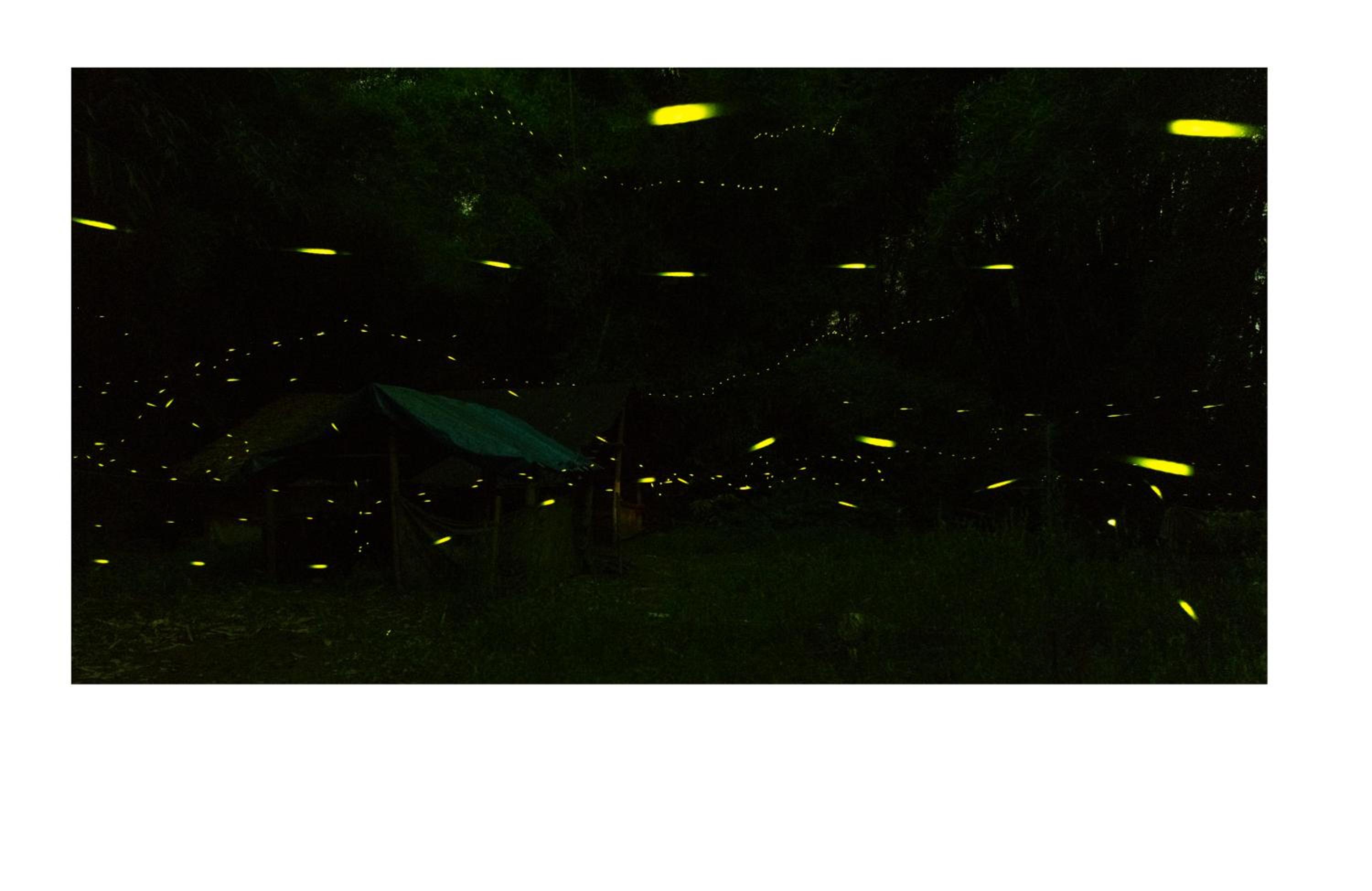 Yangshuo Yunshe Mountain Guesthouse