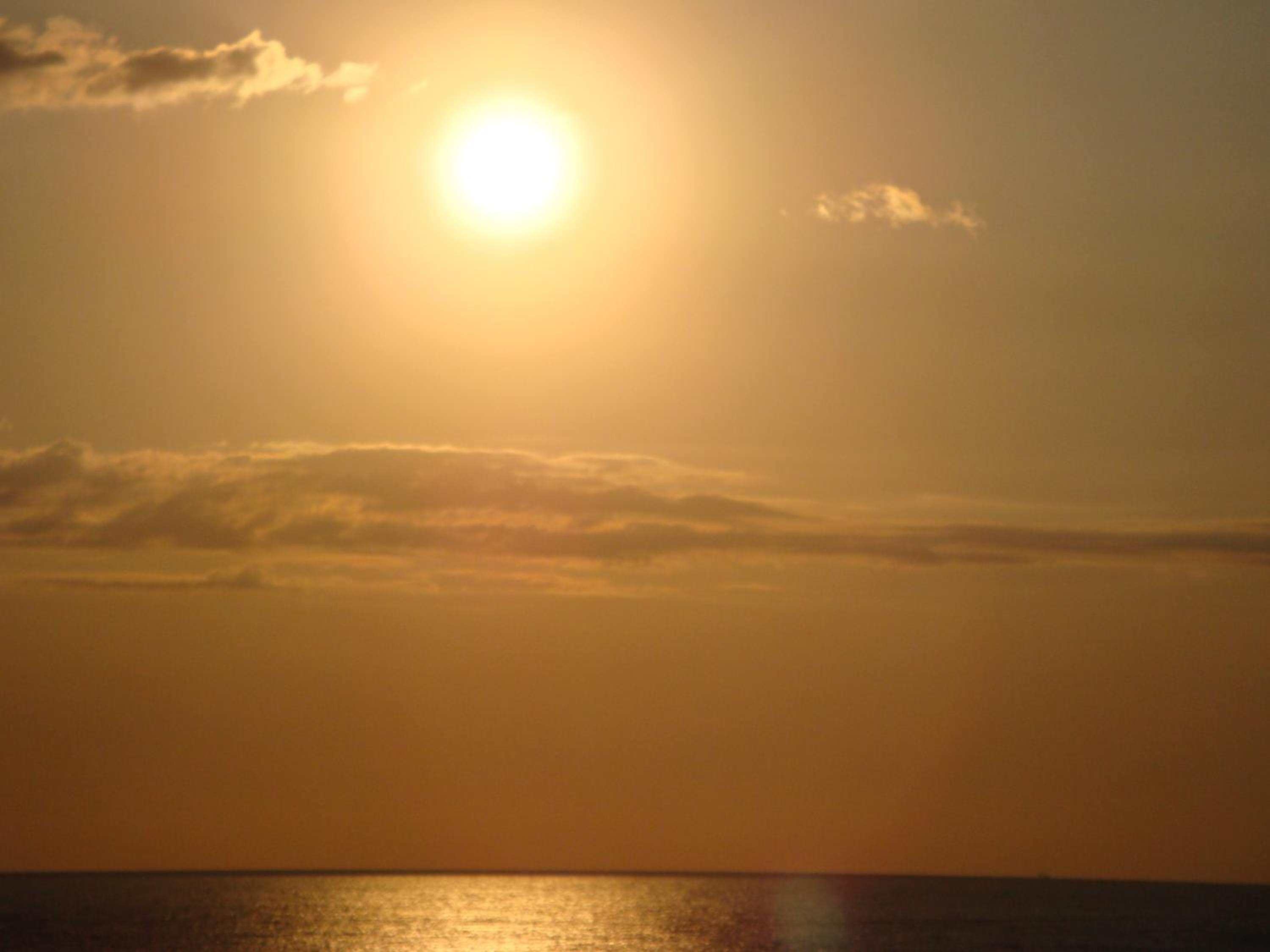 Alba Blu photo 5