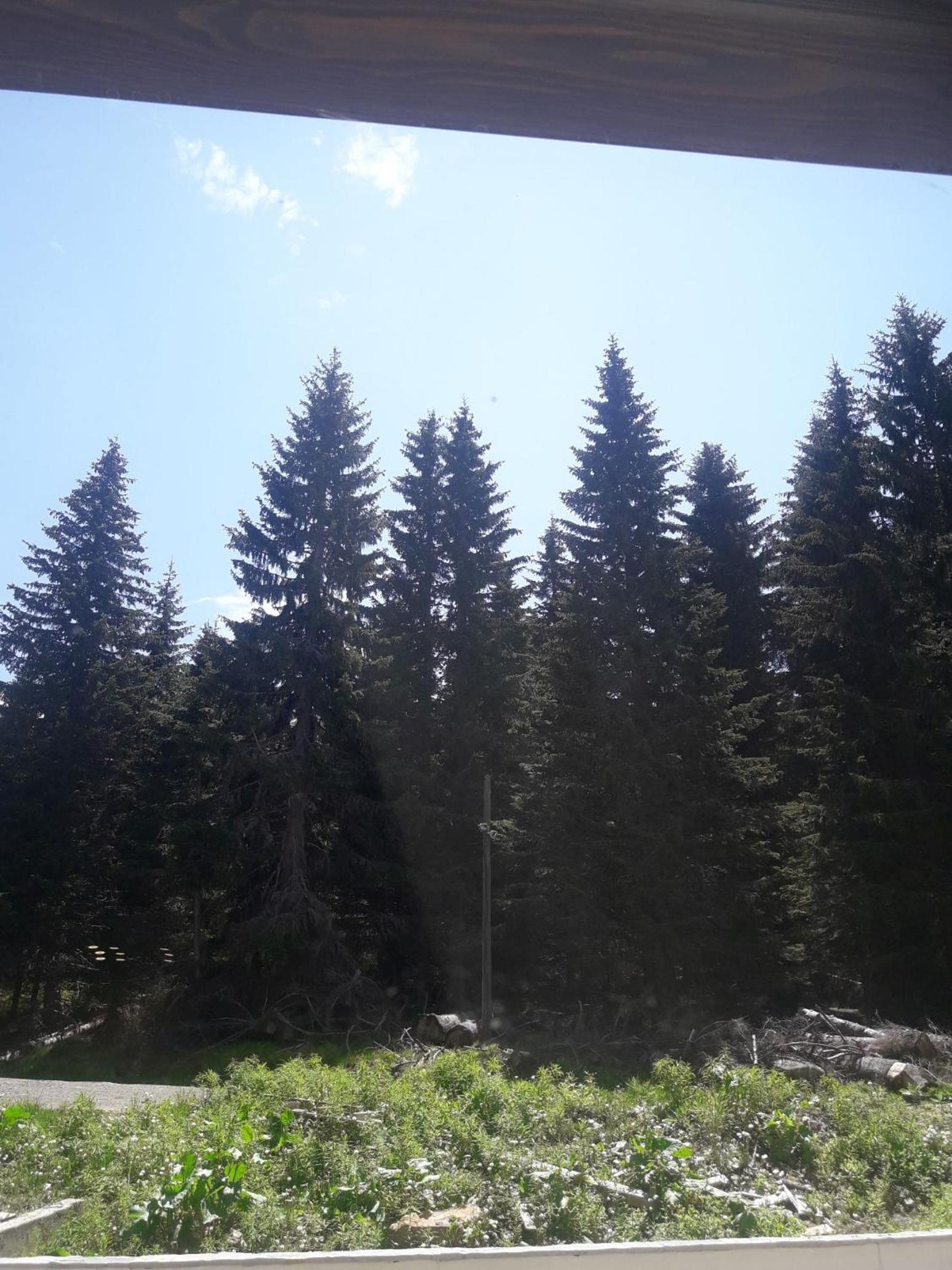 Photo 52