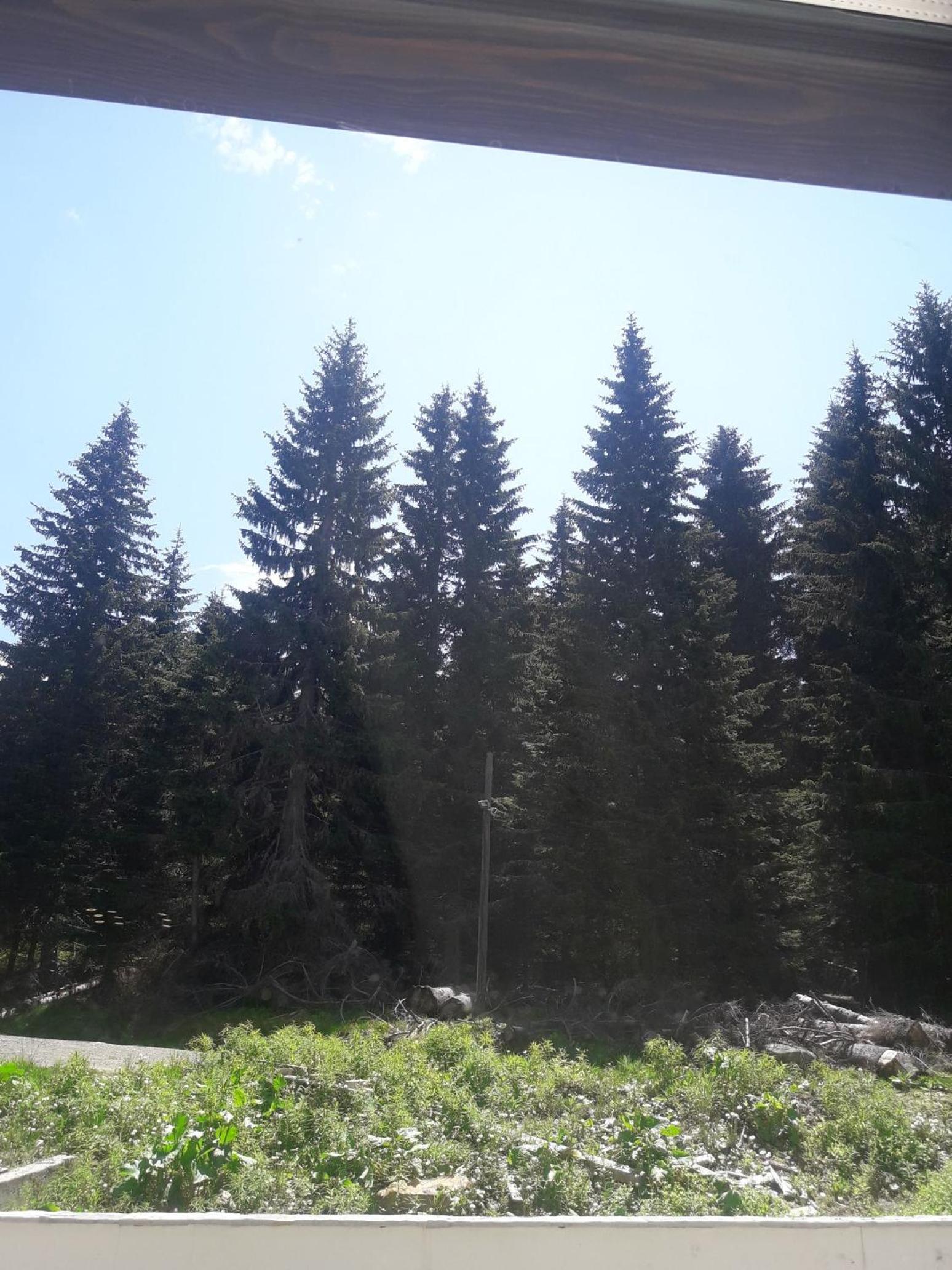 Photo 53