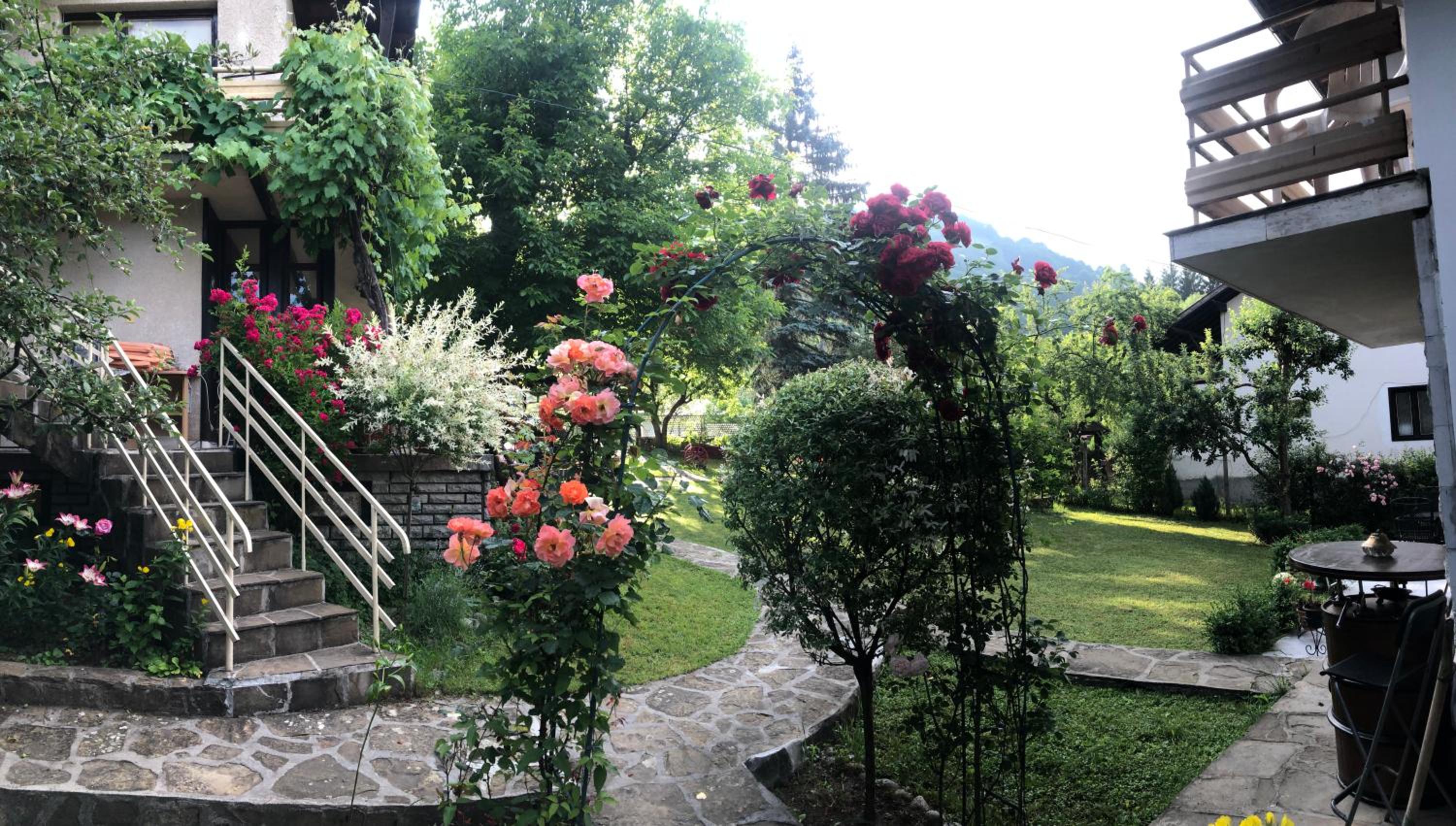 Luylyana Guesthouse