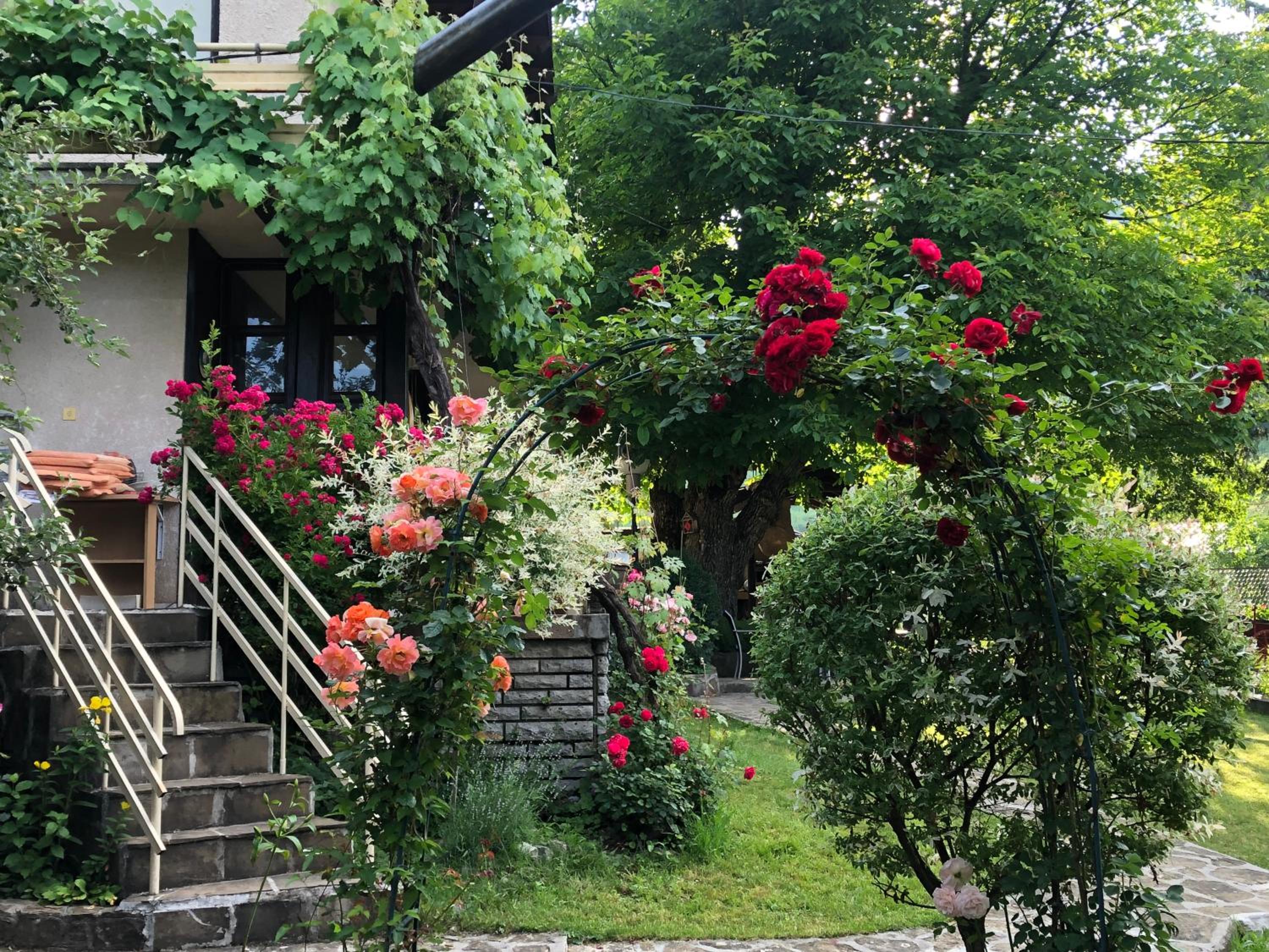 Luylyana Guesthouse