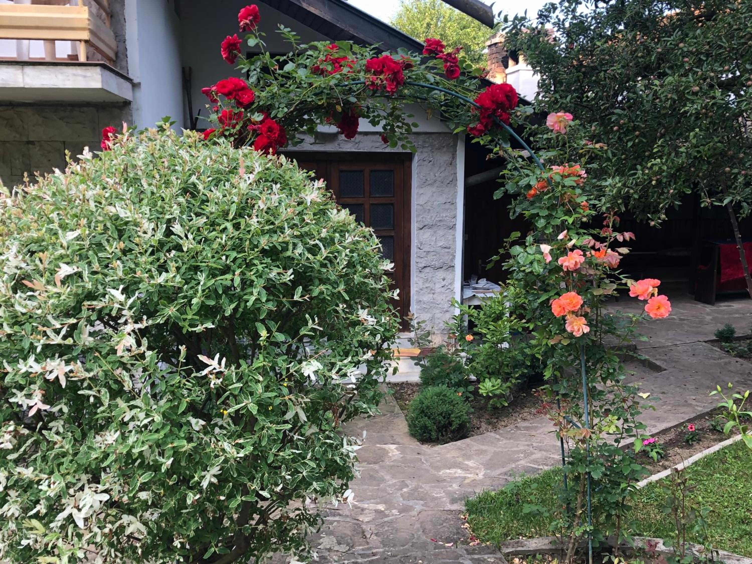 Luylyana Guesthouse