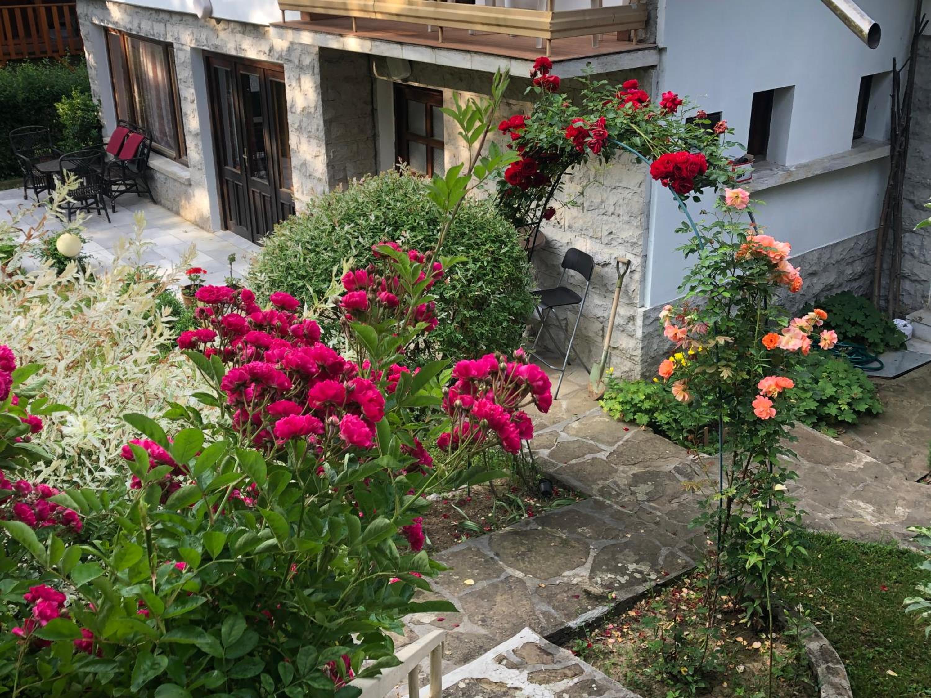 Luylyana Guesthouse