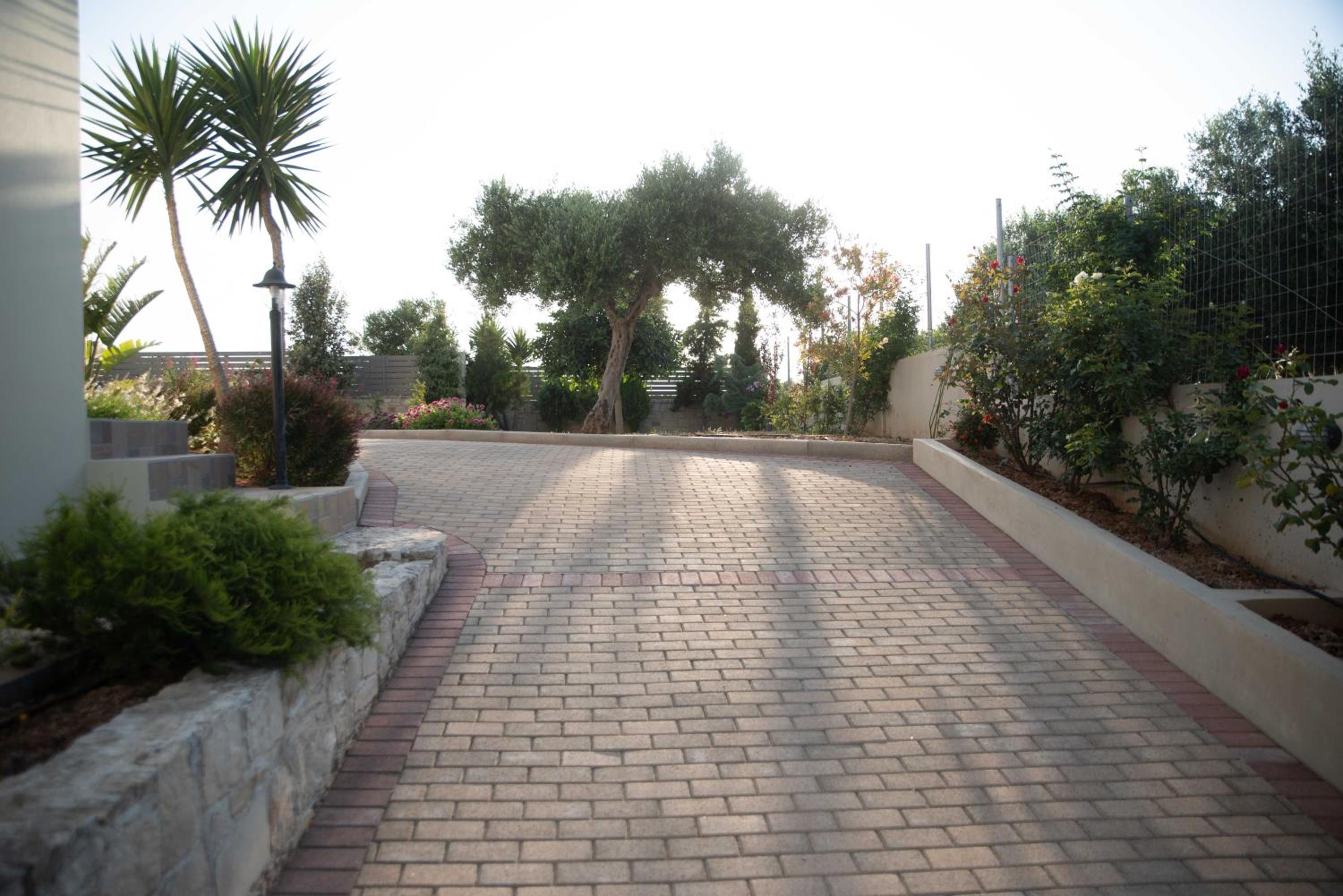 Photo 45