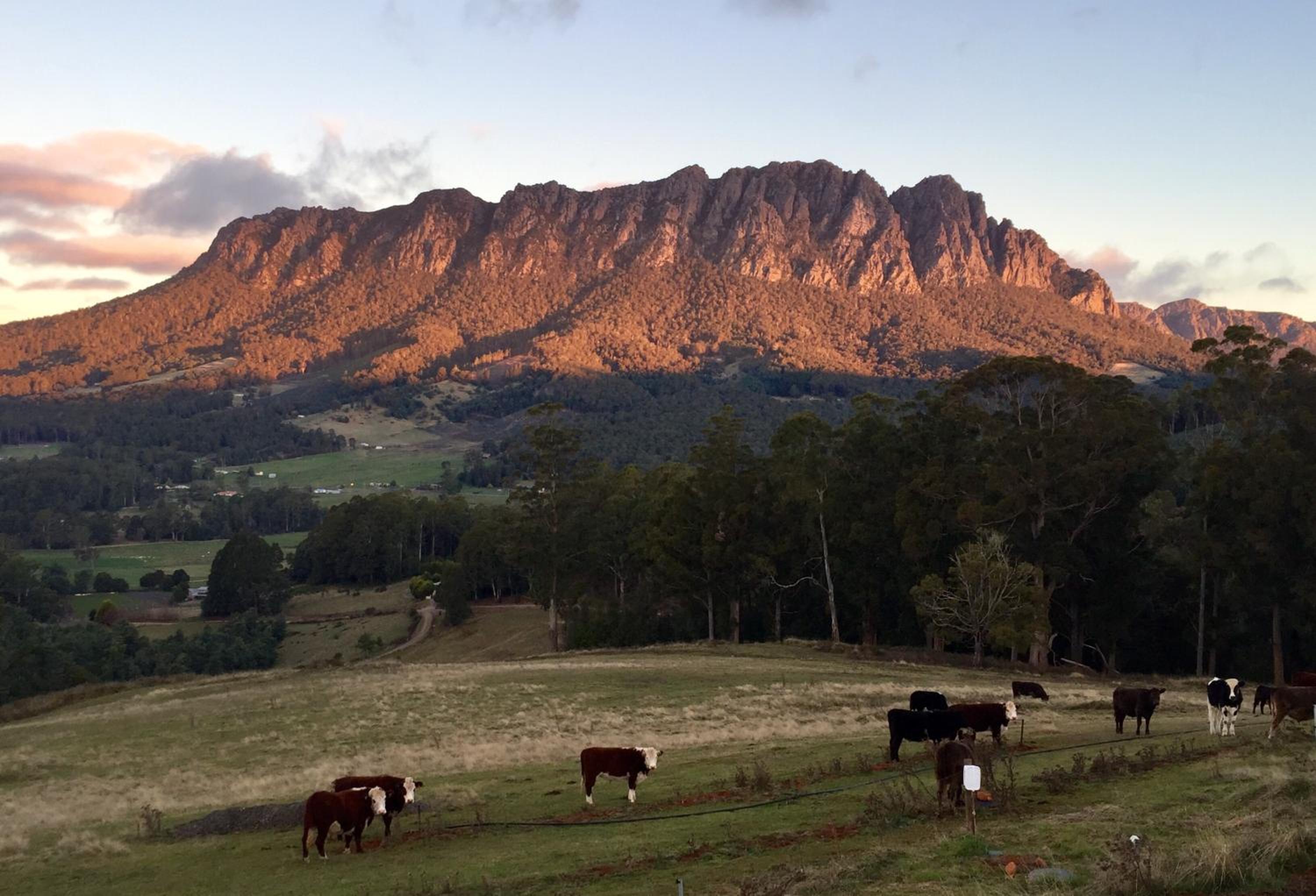 Manna Hill Farm