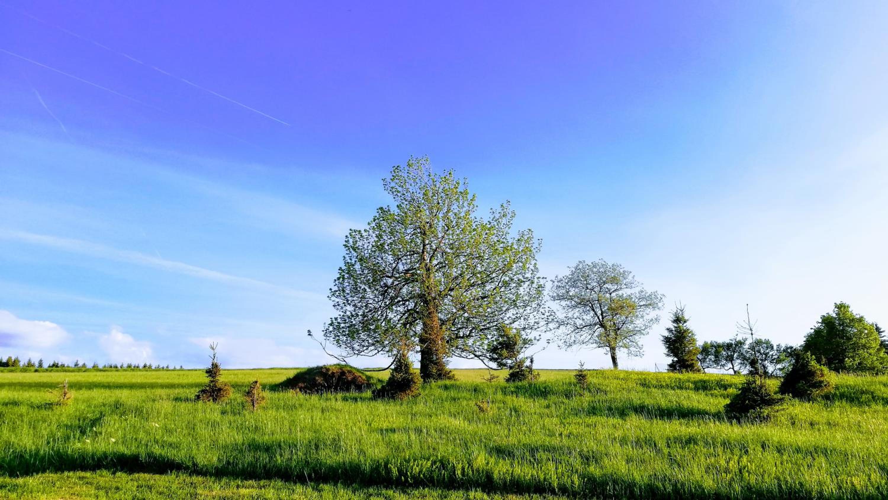 Urtica apartmány