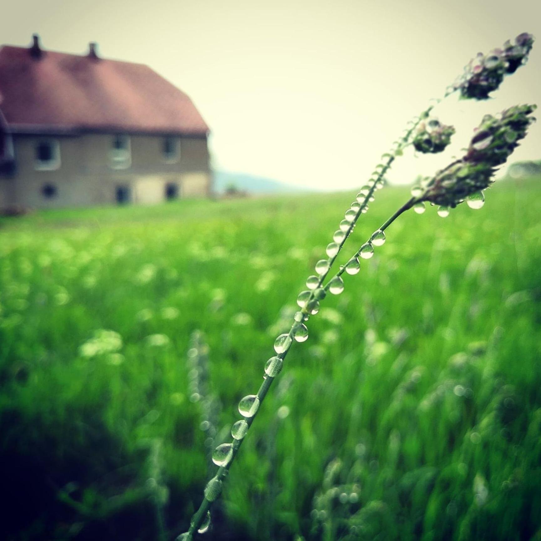 Urtica apartmány
