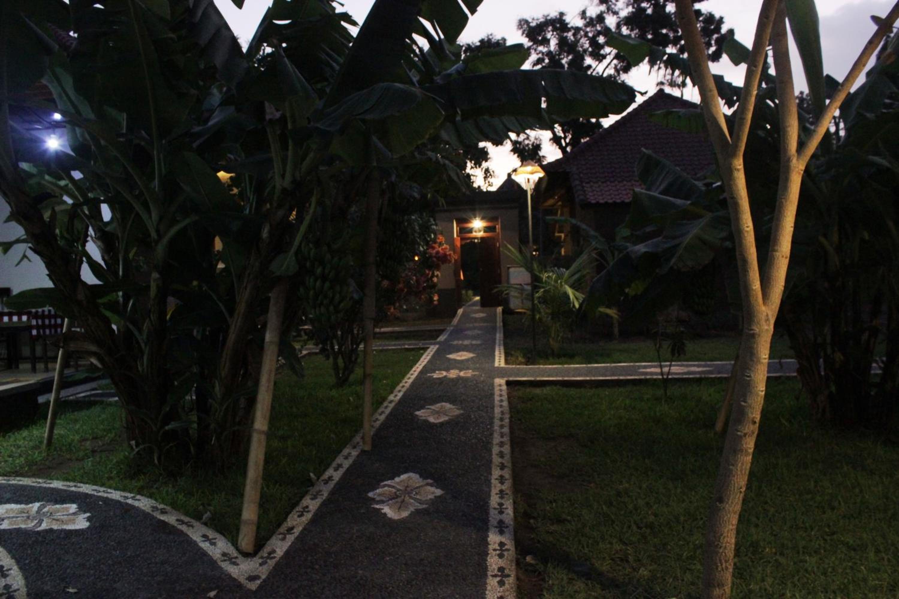 Photo 16