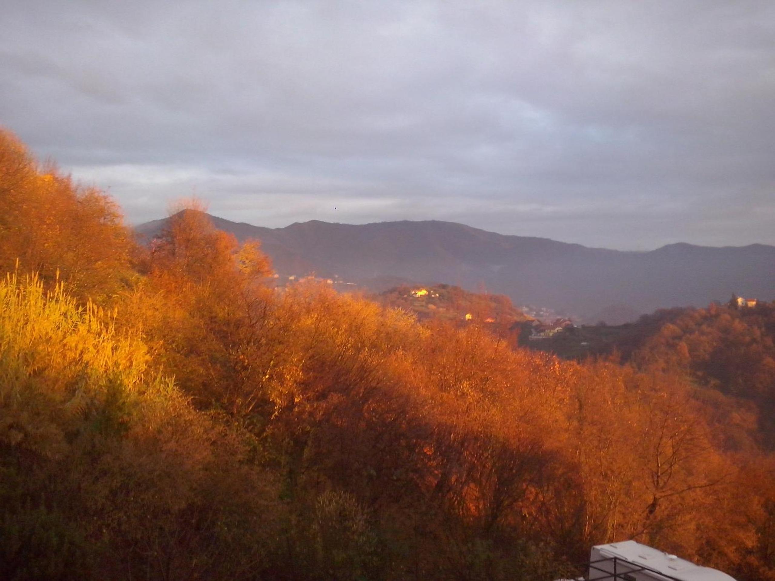 B&B Terre e Colori photo 5