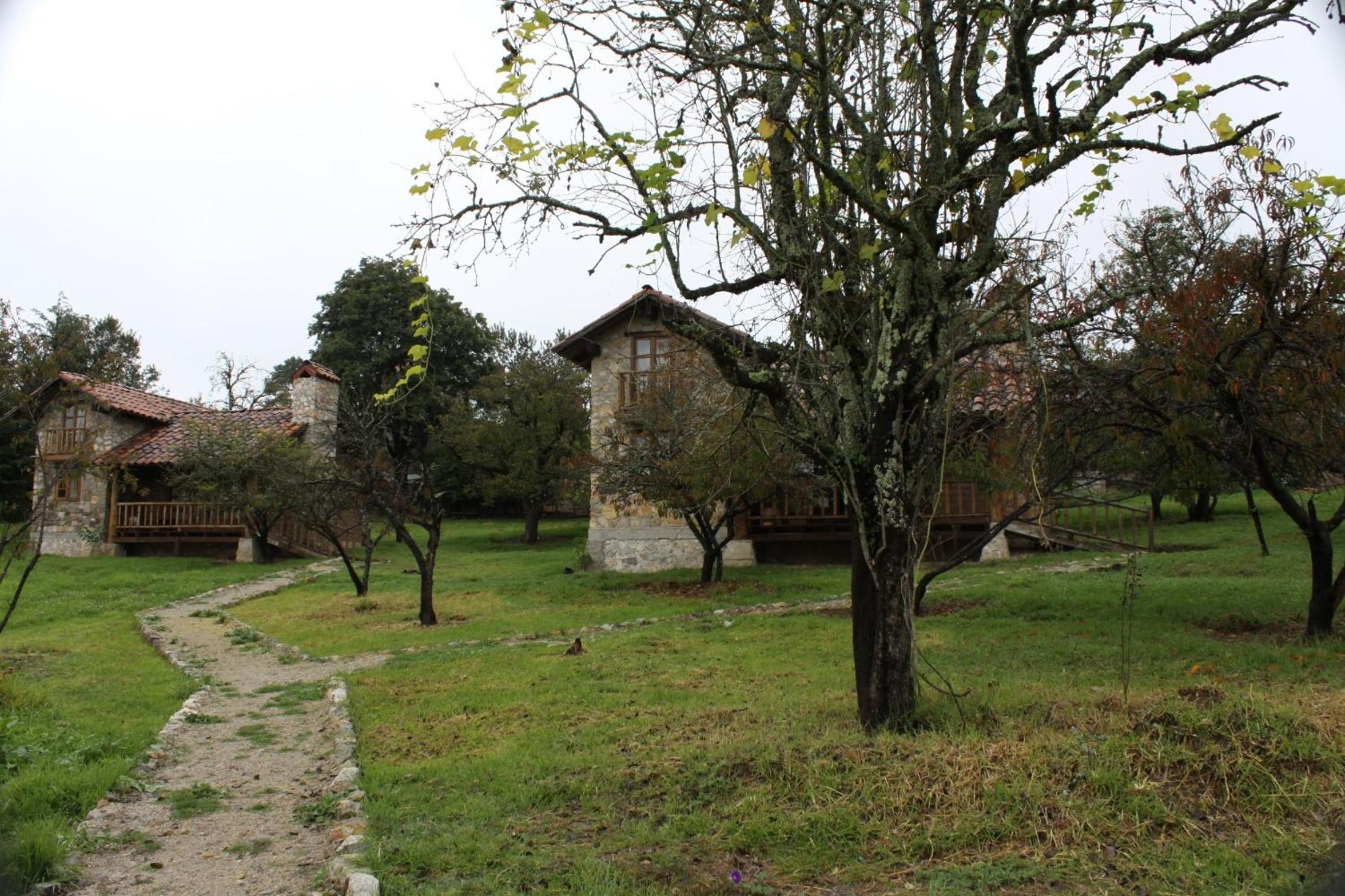 Photo 36