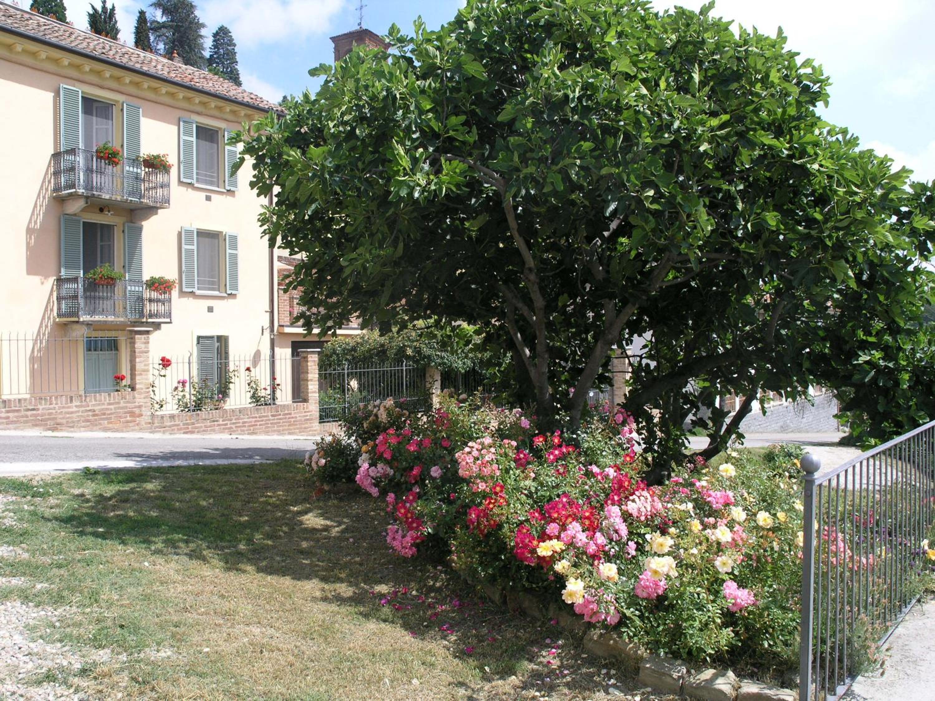 Photo 45