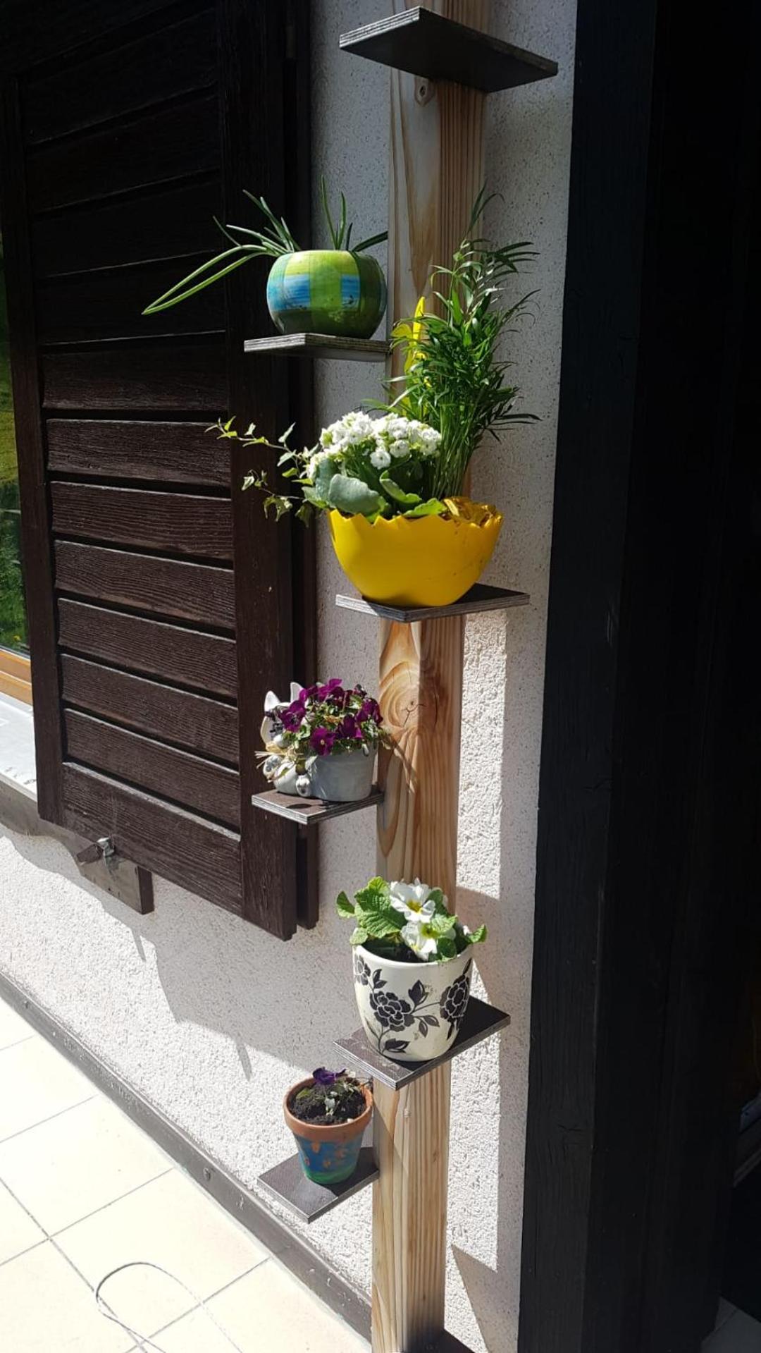 Photo 37