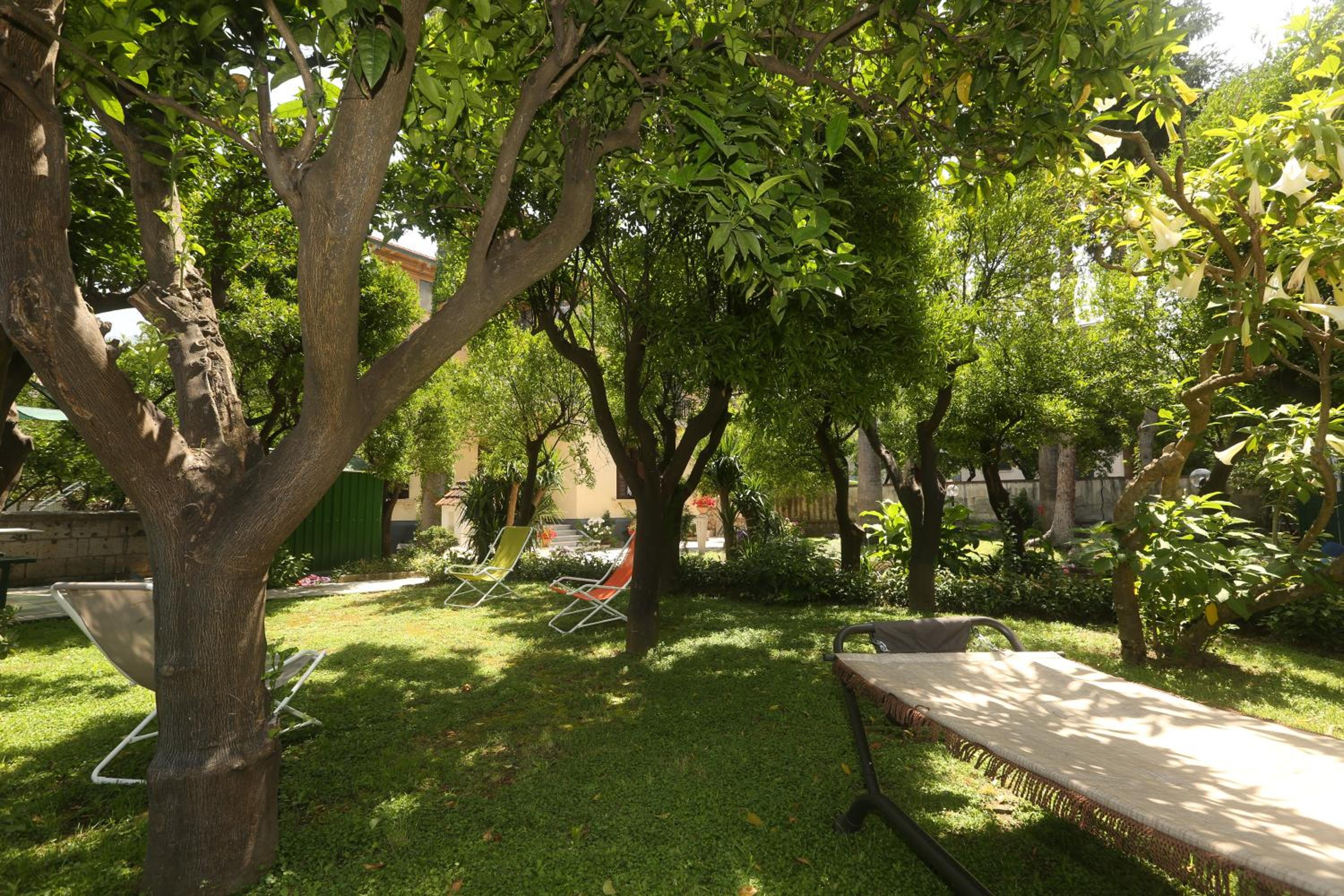 Photo 14