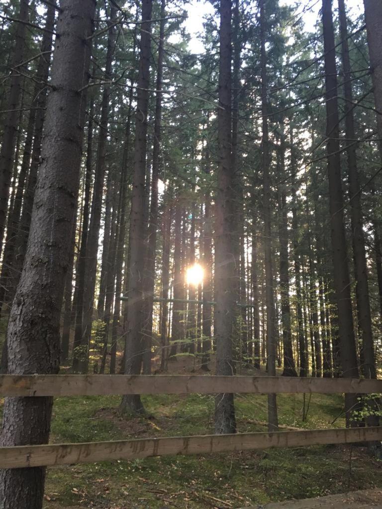 Forest Vibes Spa