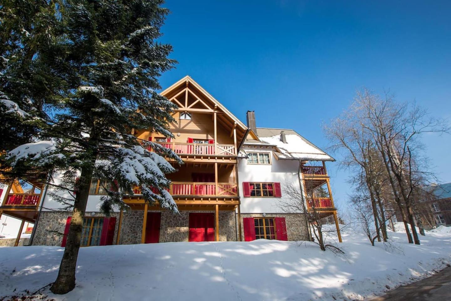 Bolfenk lodge apartment view 3