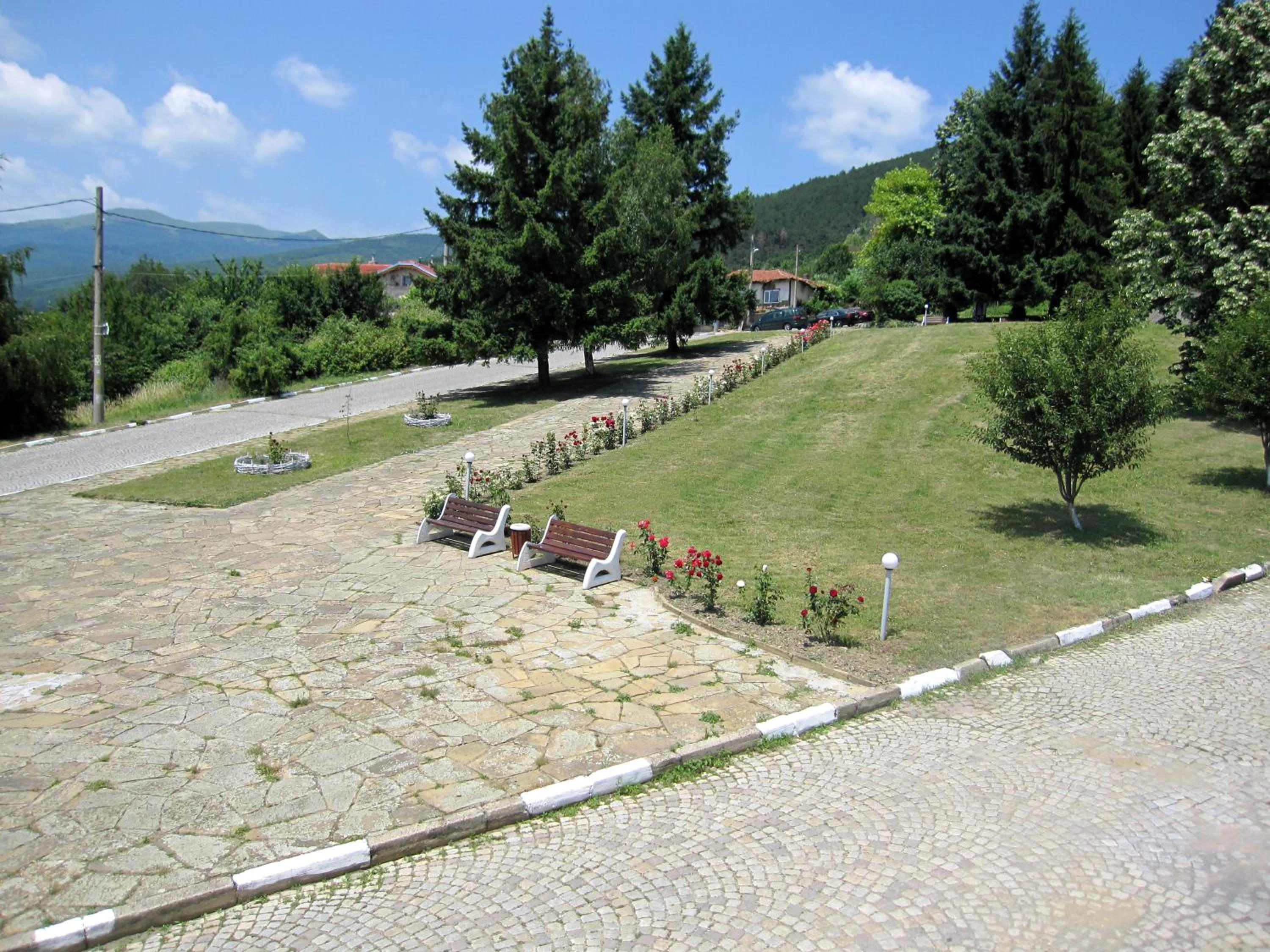 Photo 45