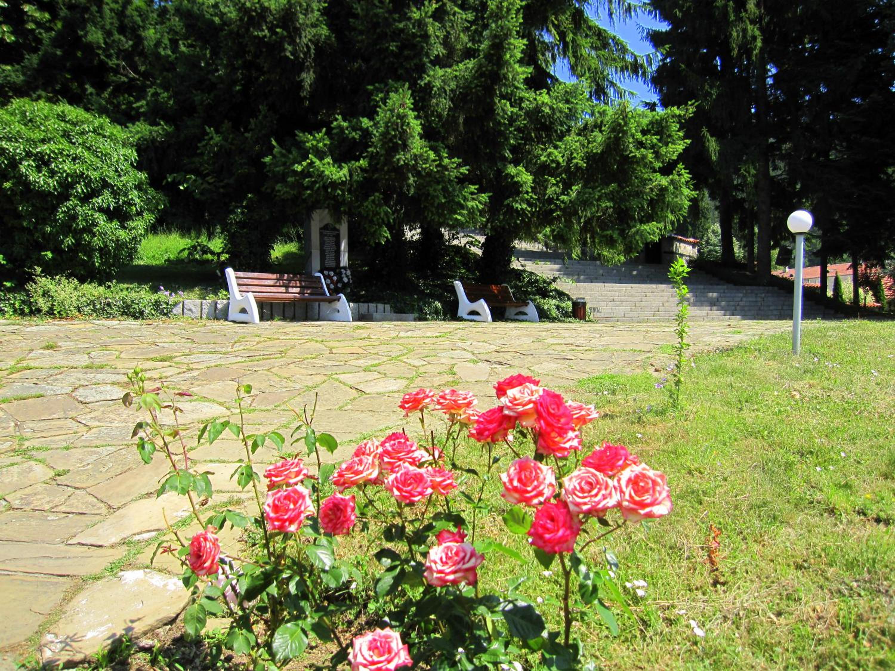 Photo 46