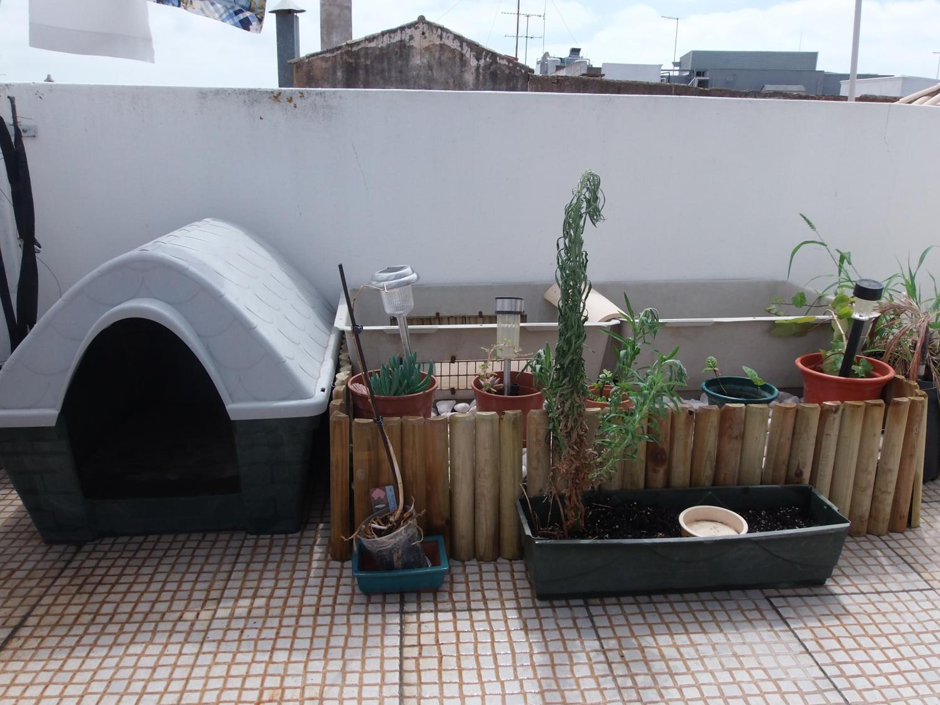 Guest House Capitao Mor