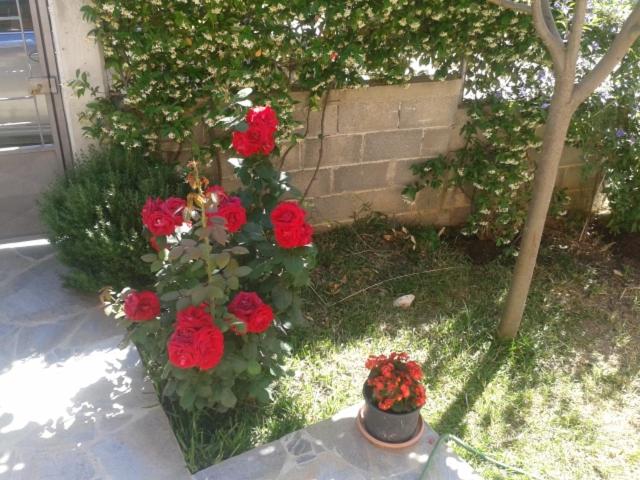 Photo 47