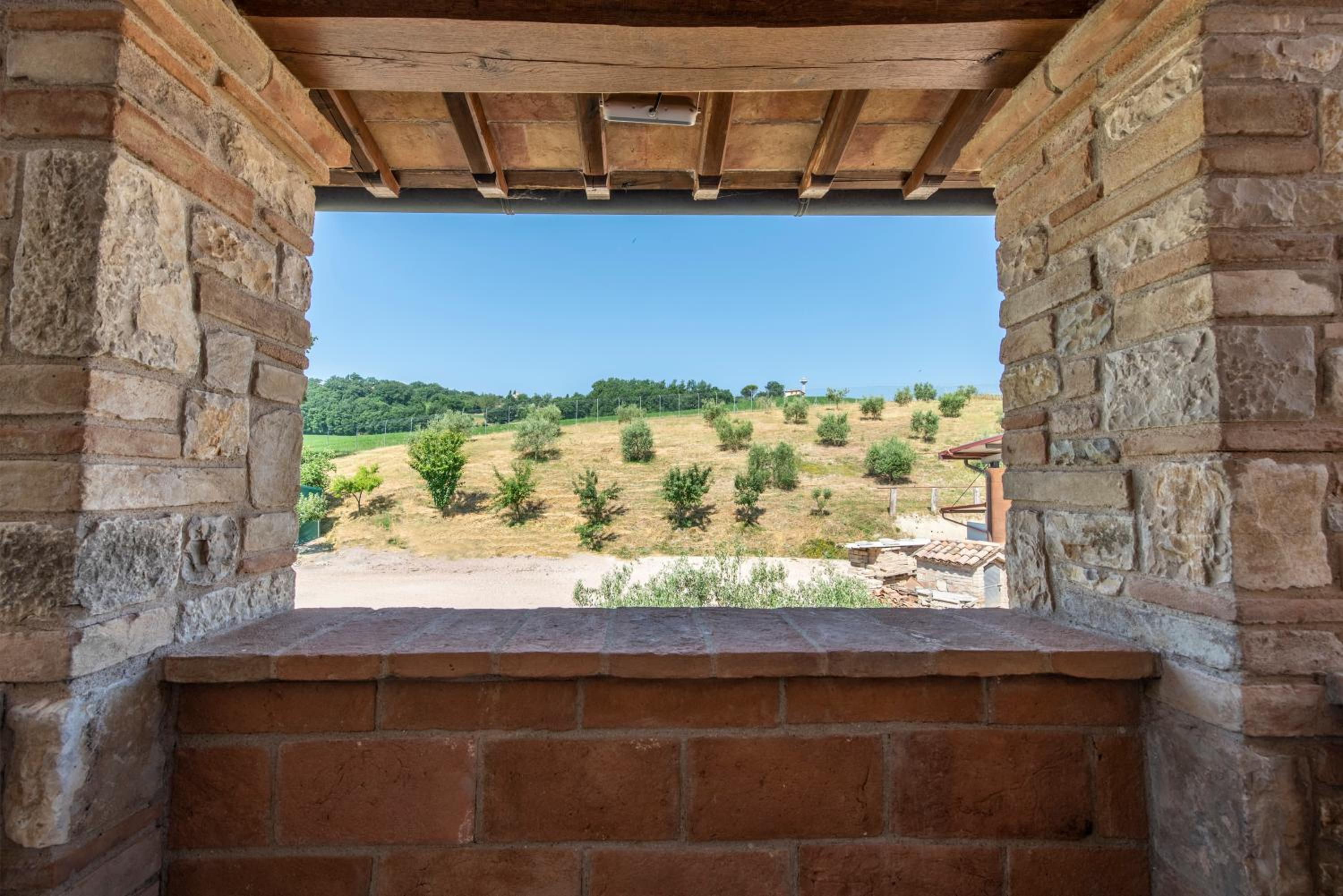 Todi Truffle view 4