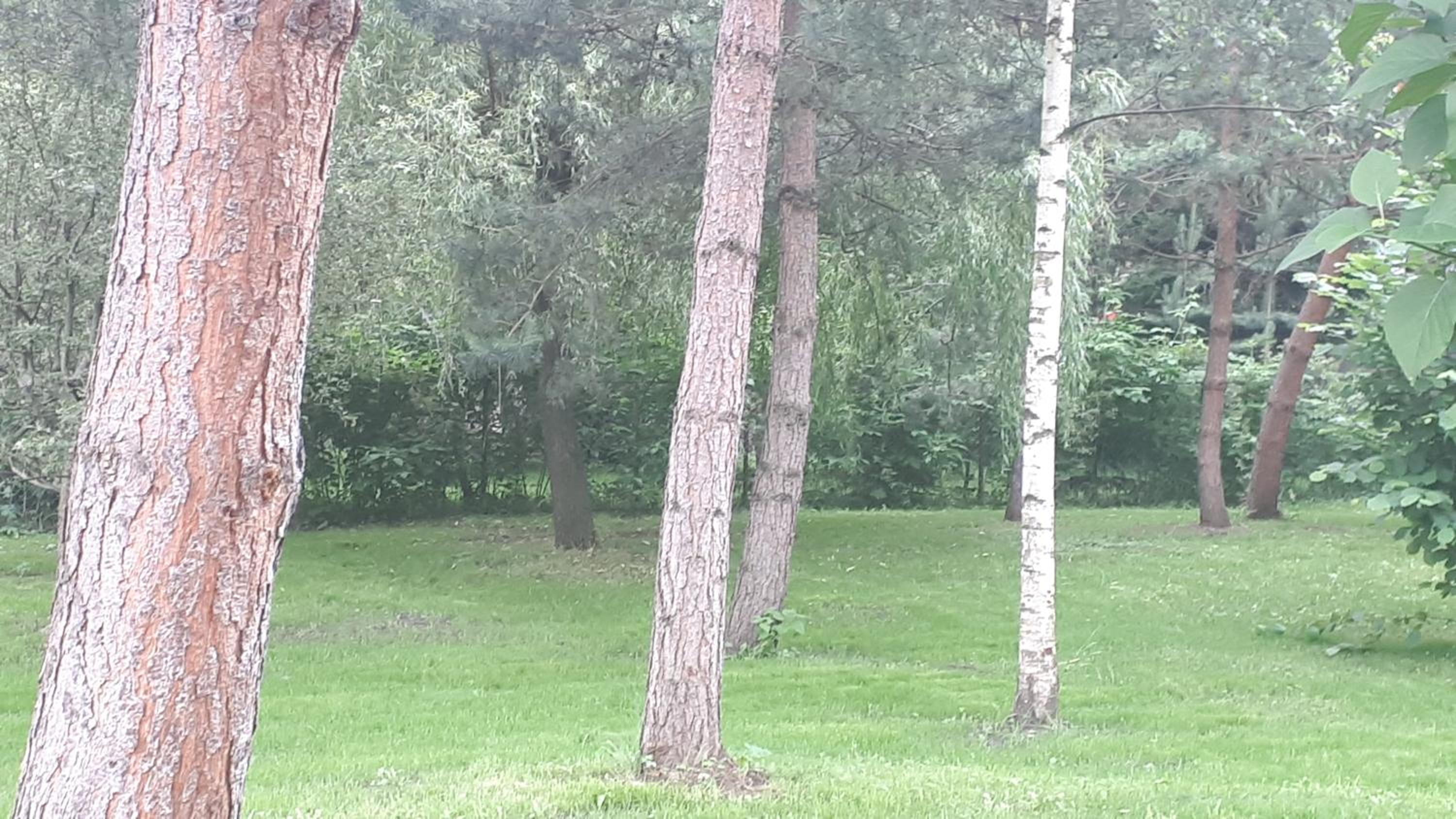 Photo 32