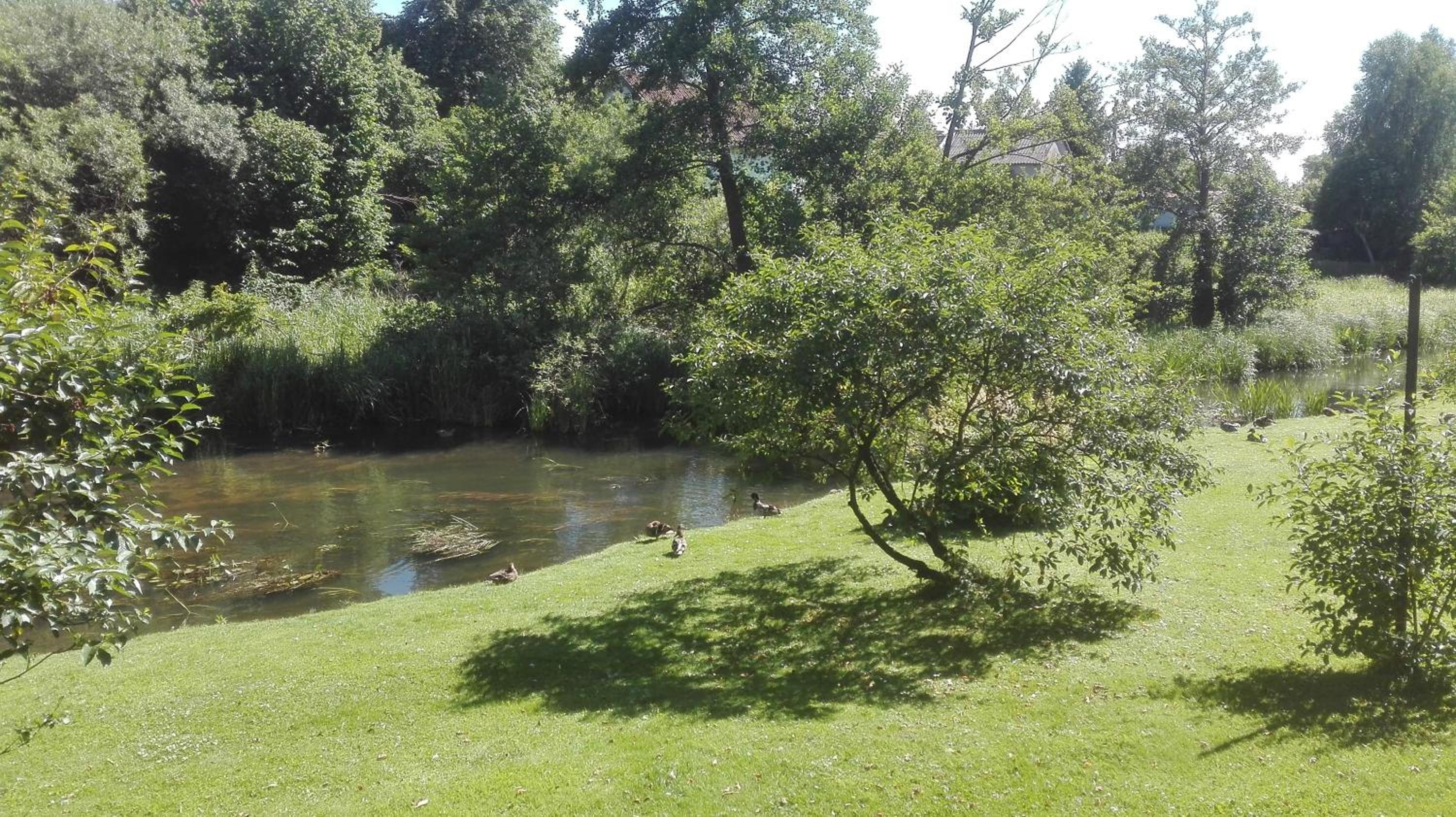 Domek myśliwski view 2