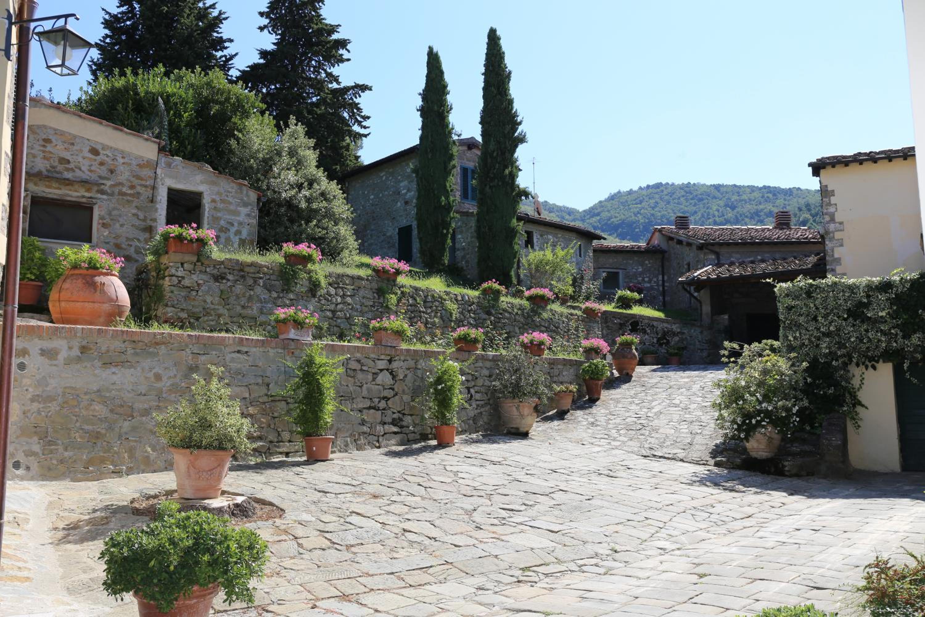La Cipressa view 4