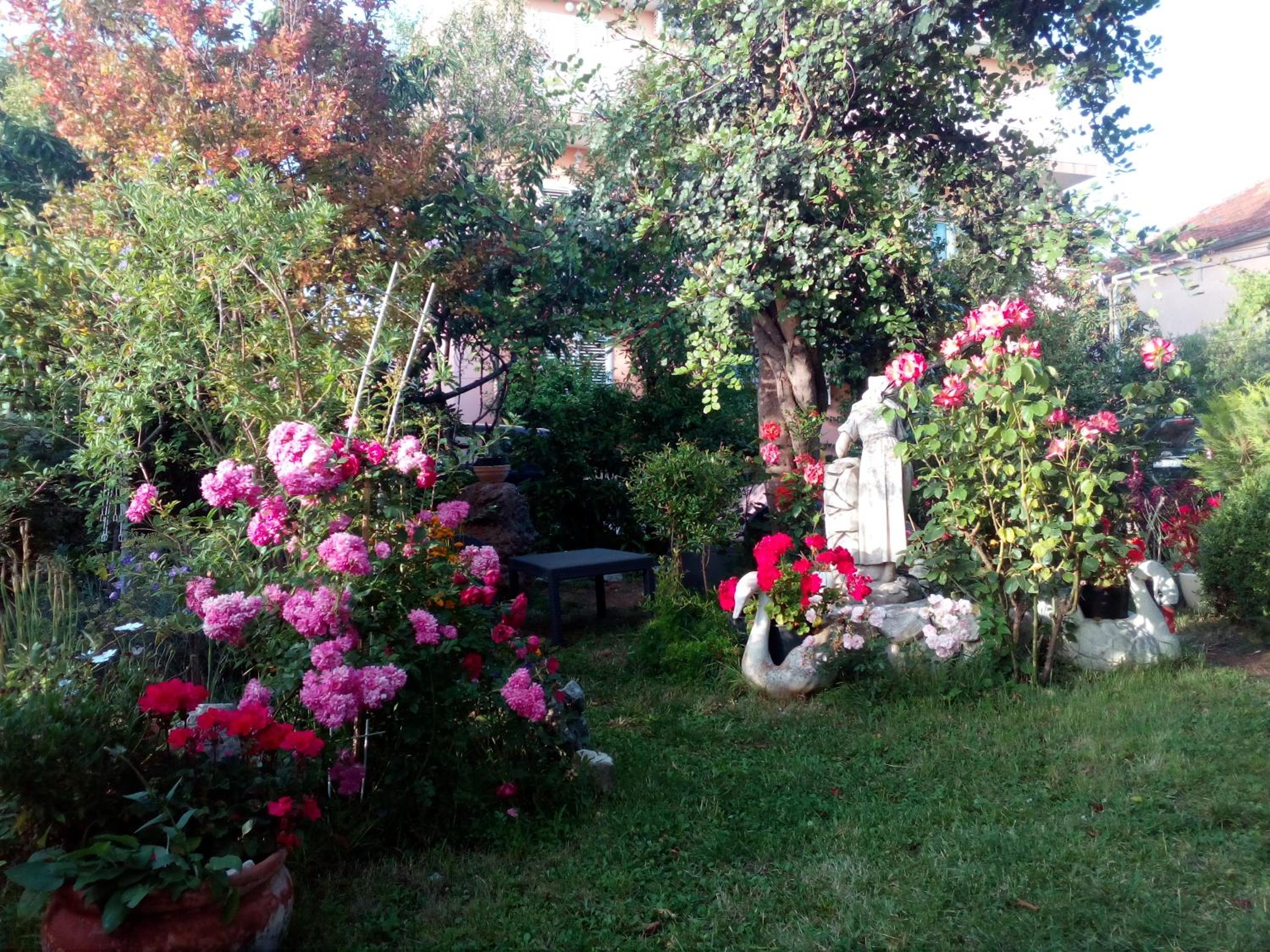 Photo 24