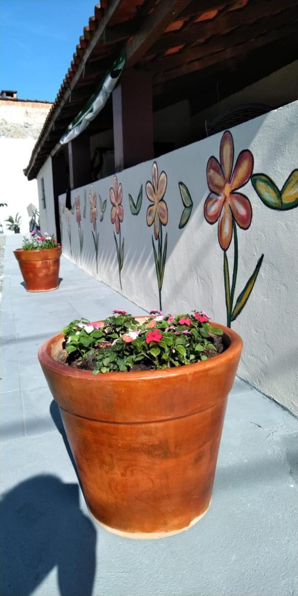 Hostel Cidade das Flores 2