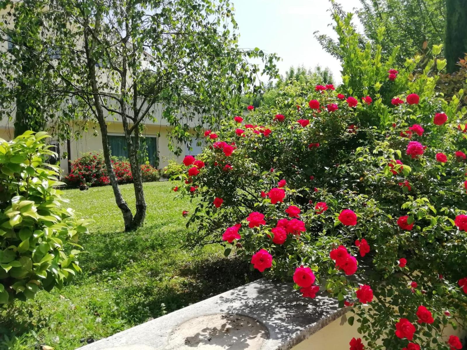 B&B Terra del Sole view 3