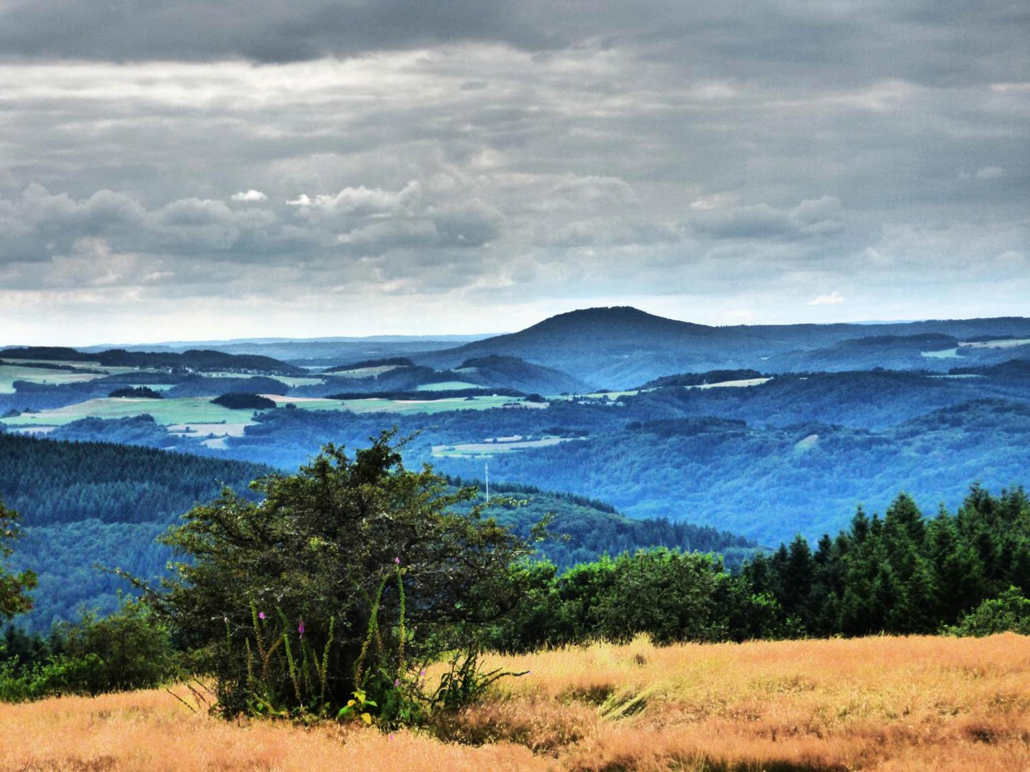 Relaxen am Eifelbach