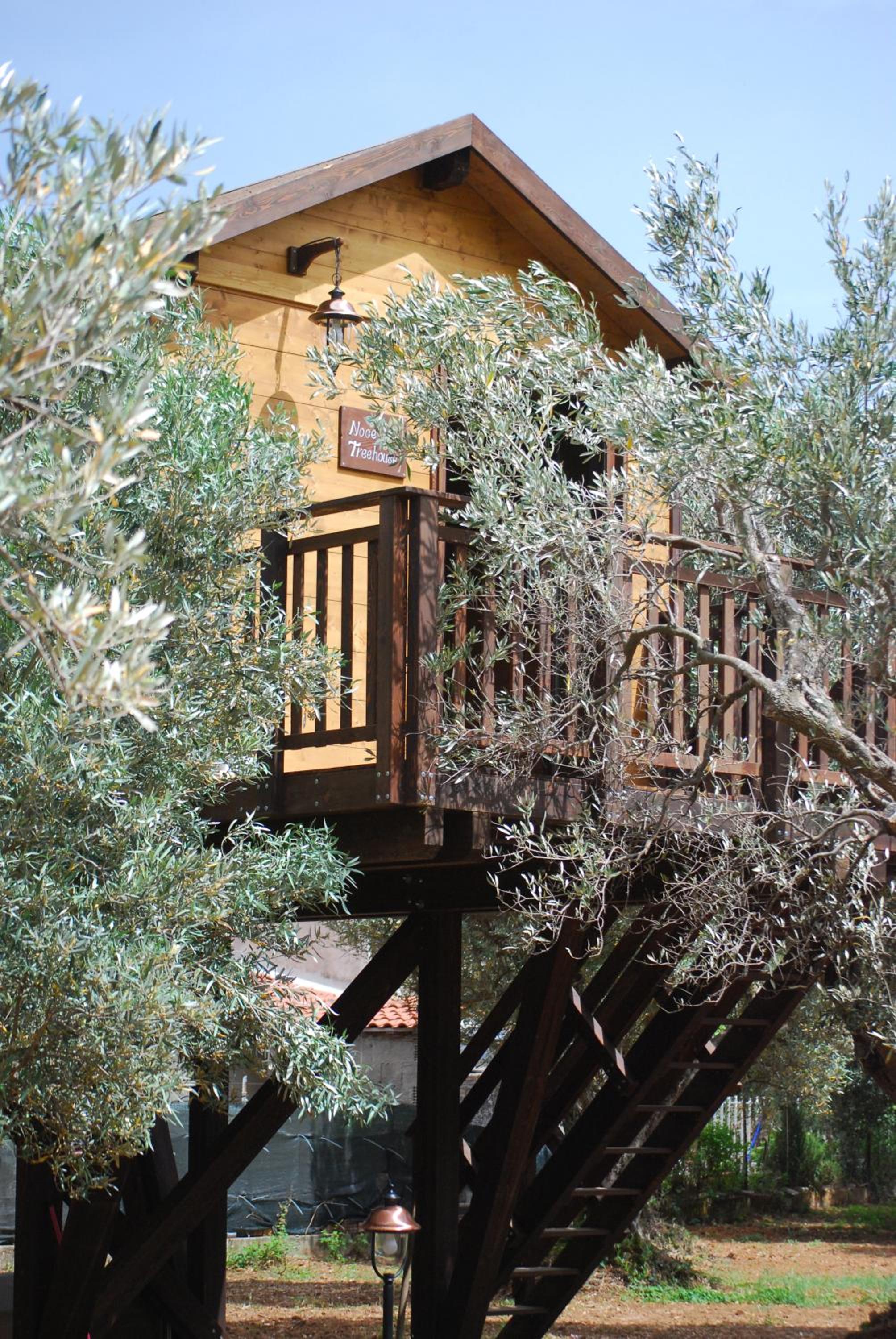 Palazzo Conforti Tree House Resort photo 5
