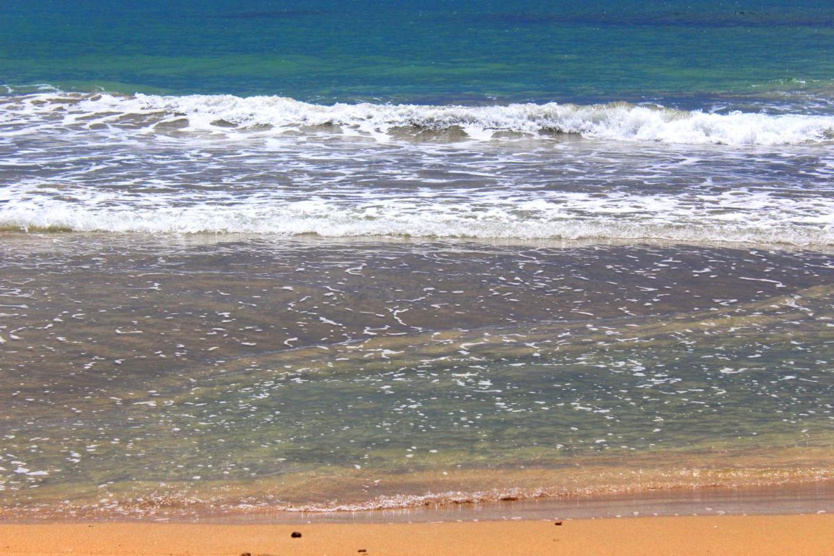Casa Cerise Beachfront