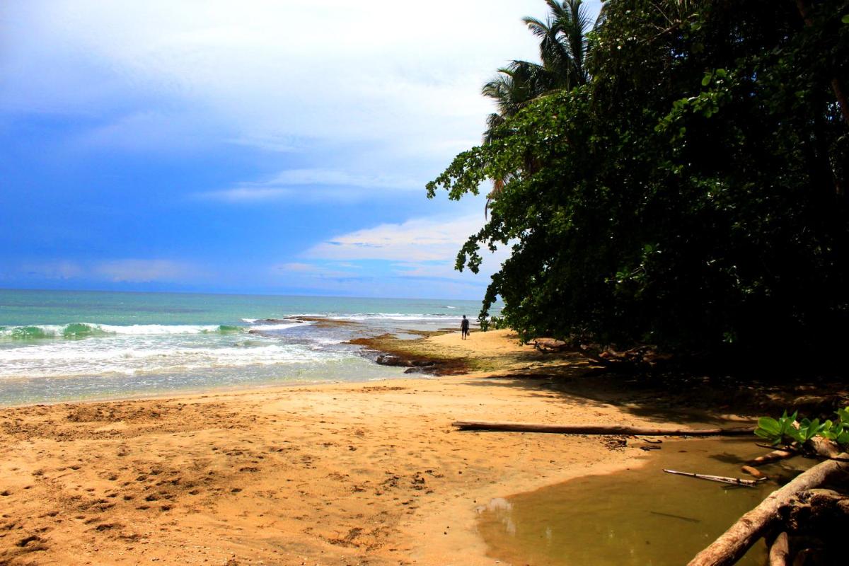Casa Cerise Beachfront