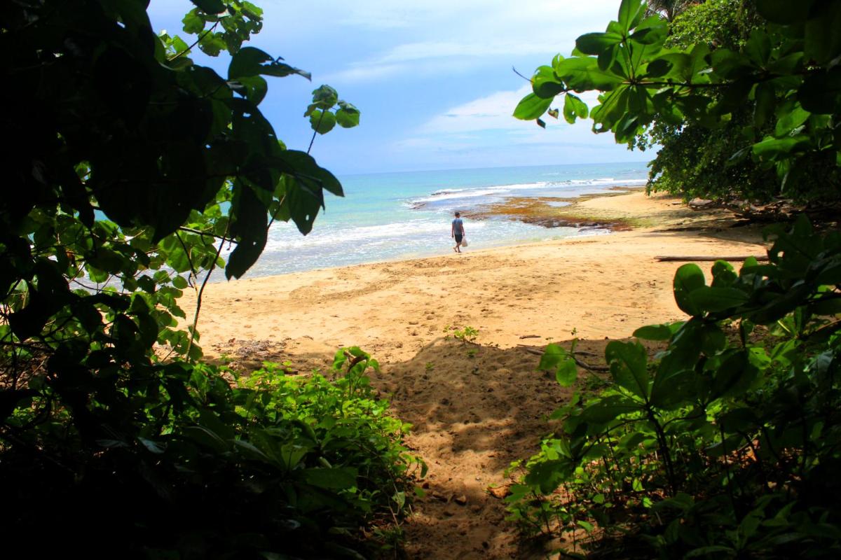 Casa Cerise Beachfront