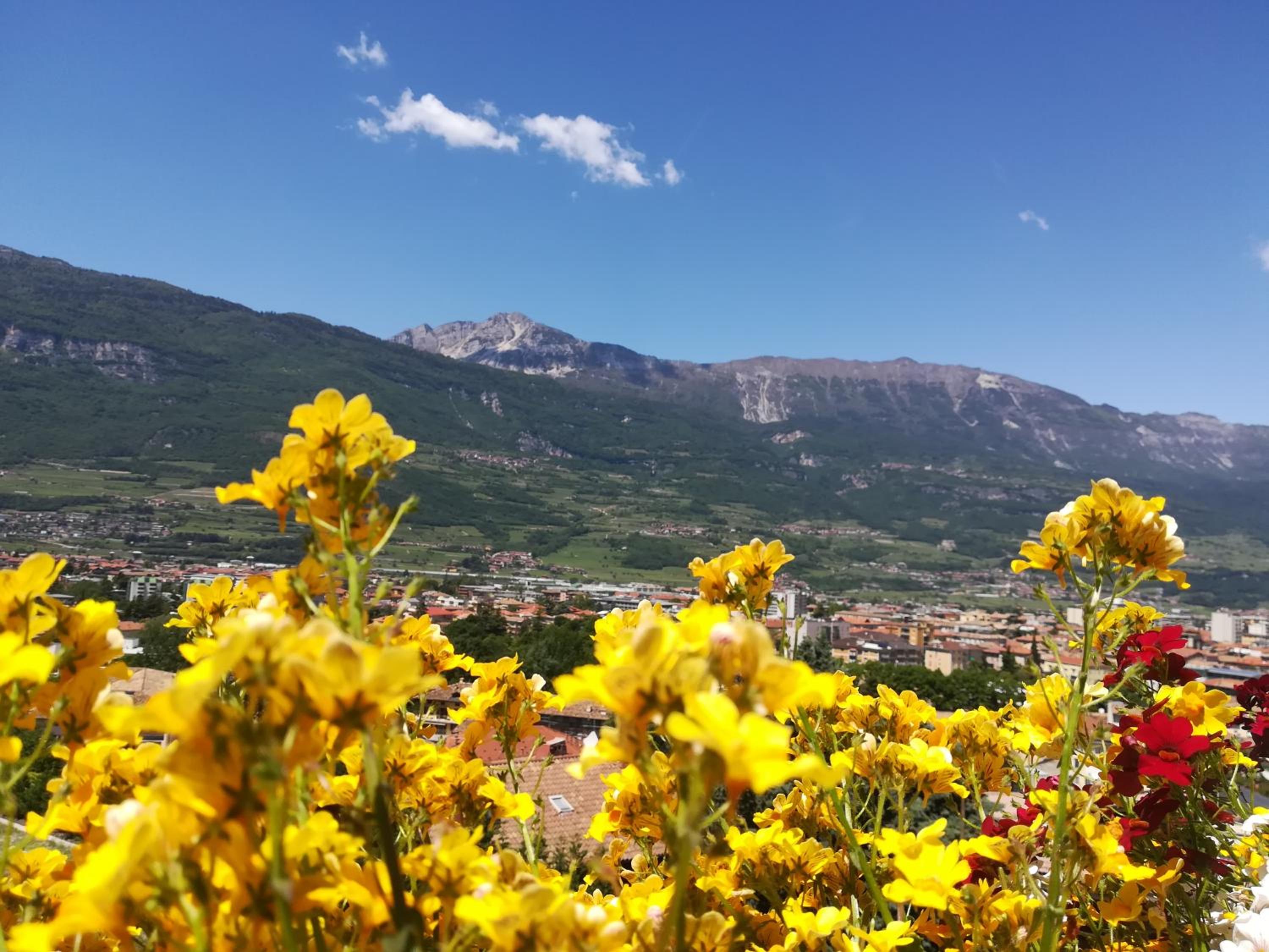 DOLCE DORMIRE view 5