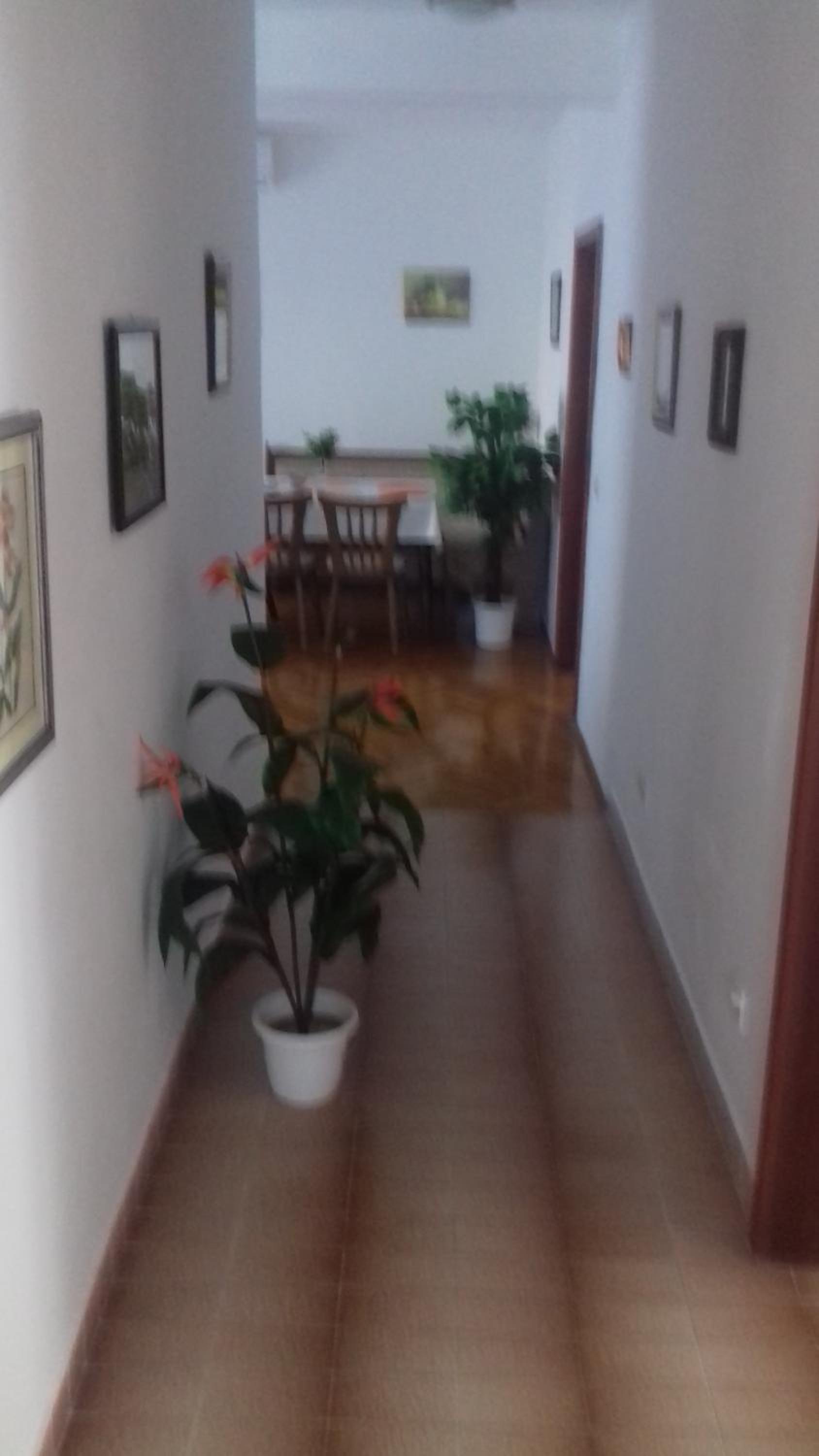 Apartment Marijeta