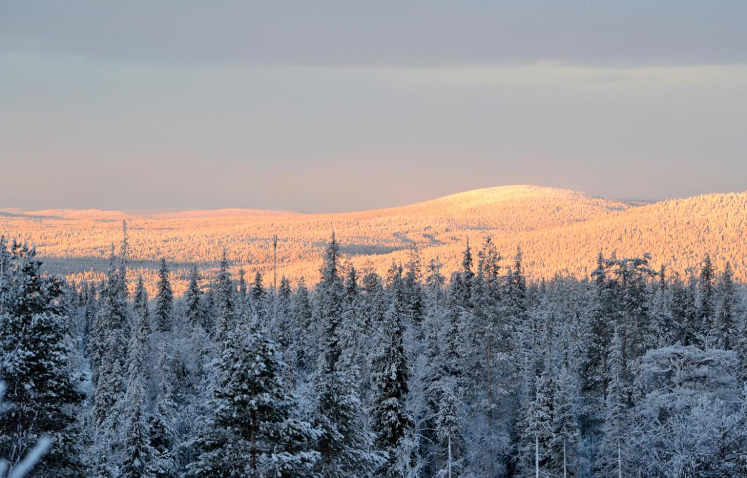 Talo Ylläs